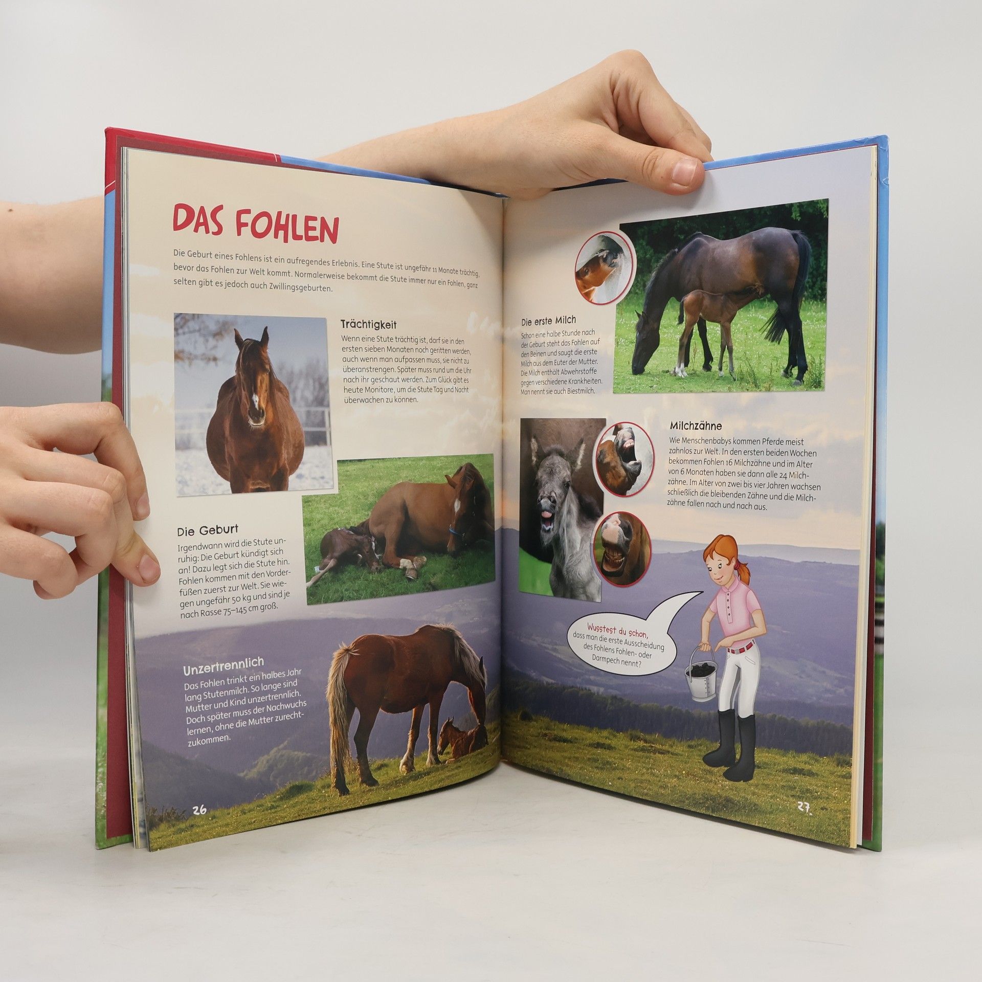 Edition XXL GmbH Auf dem Reiterhof geht´s rund - mit großem, farbigem Bauernhof-Poster