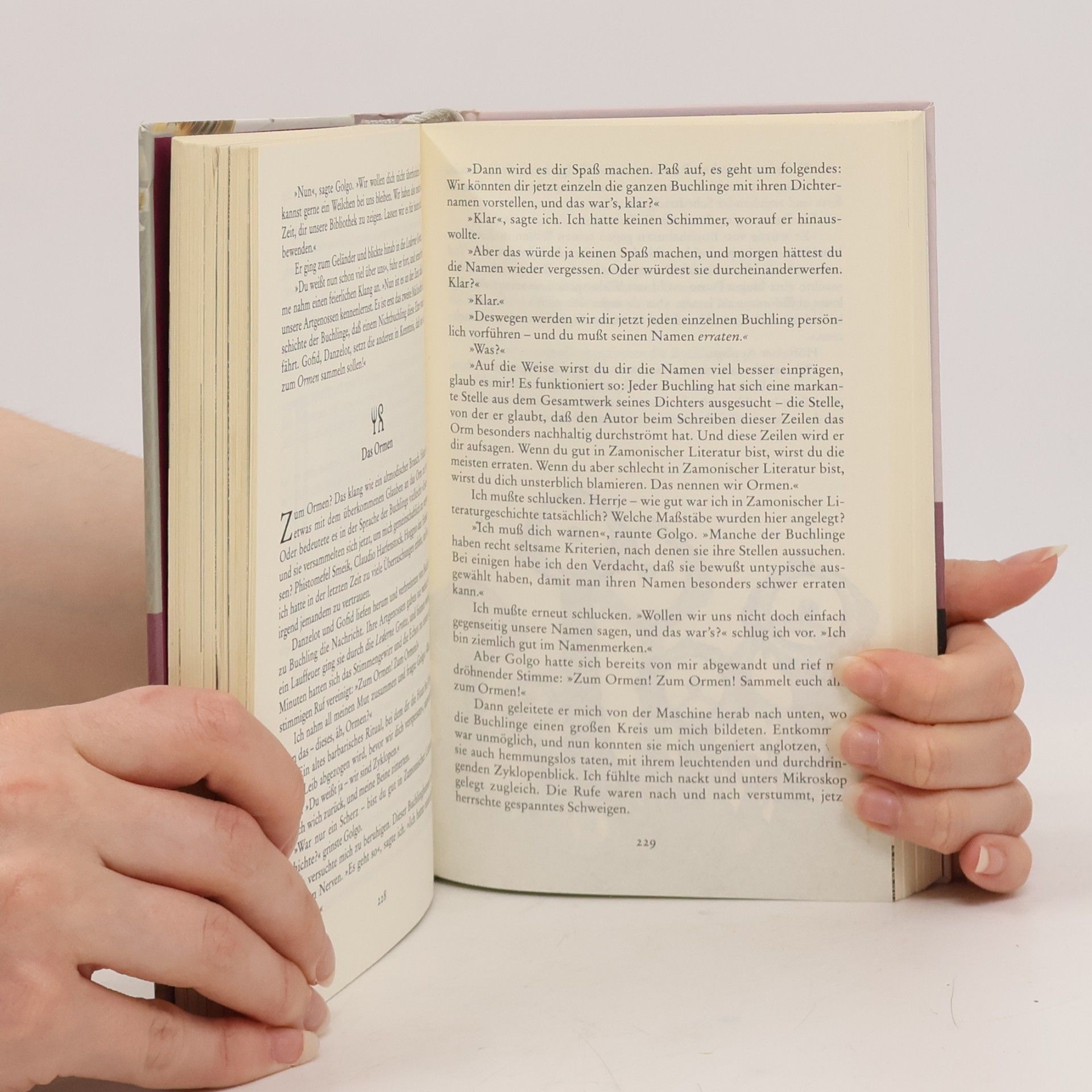 Walter Moers Die Stadt der Träumenden Bücher