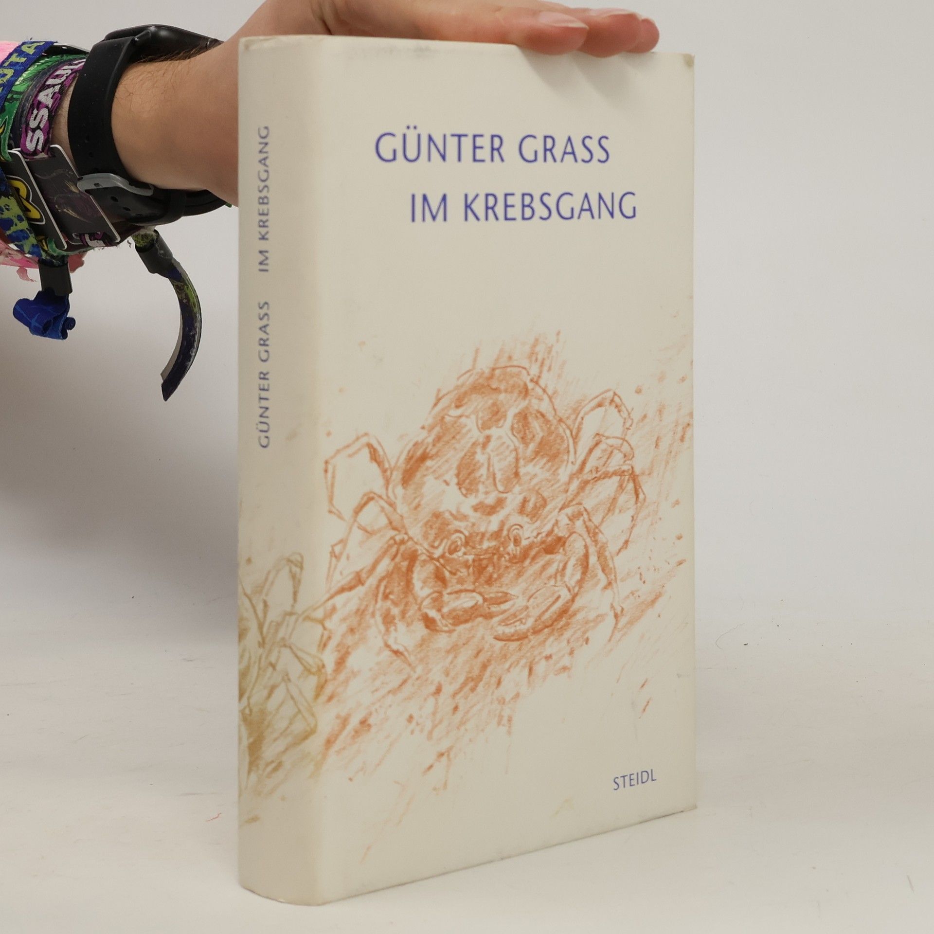 Günter Grass Im Krebsgang : eine Novelle