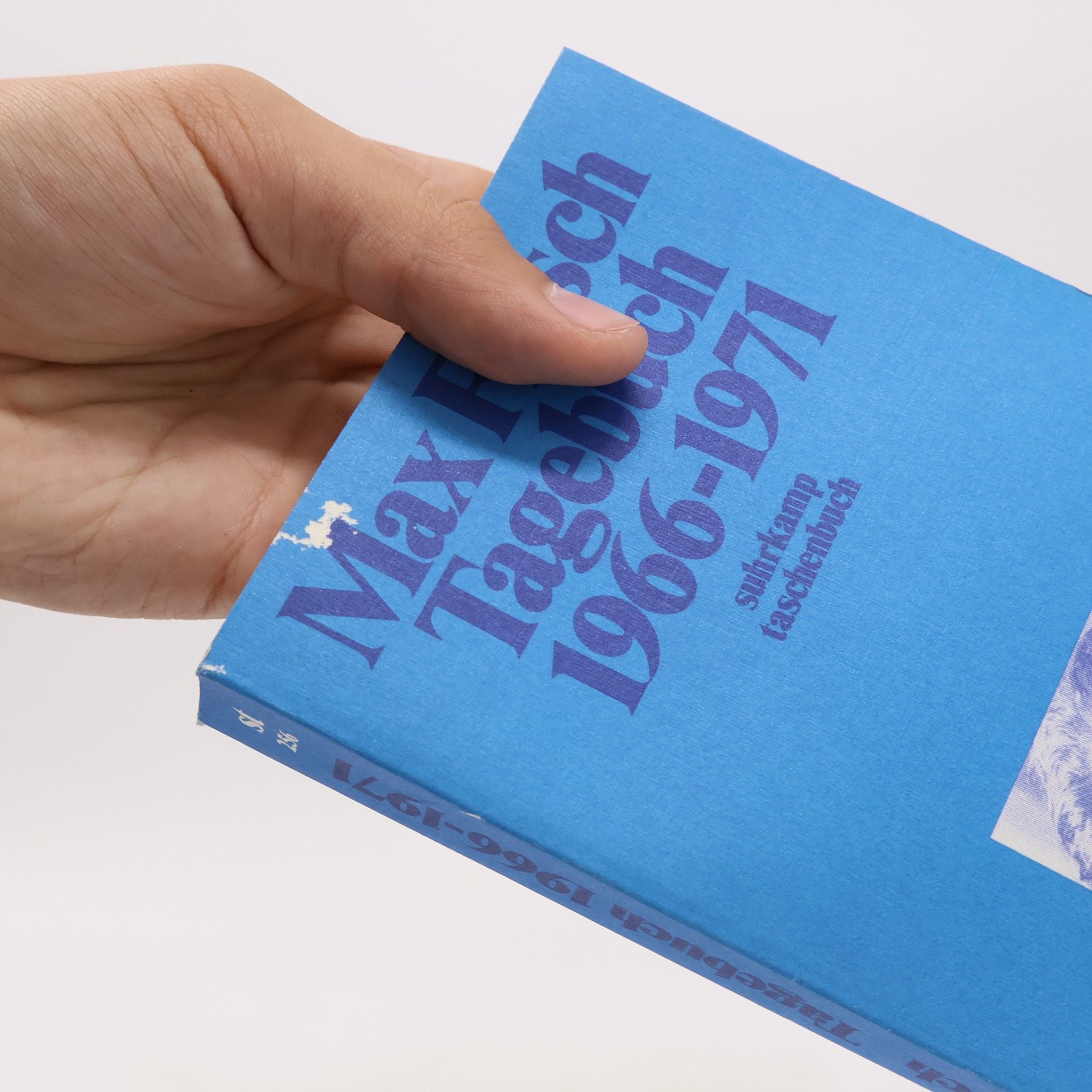 Max Frisch Tagebuch