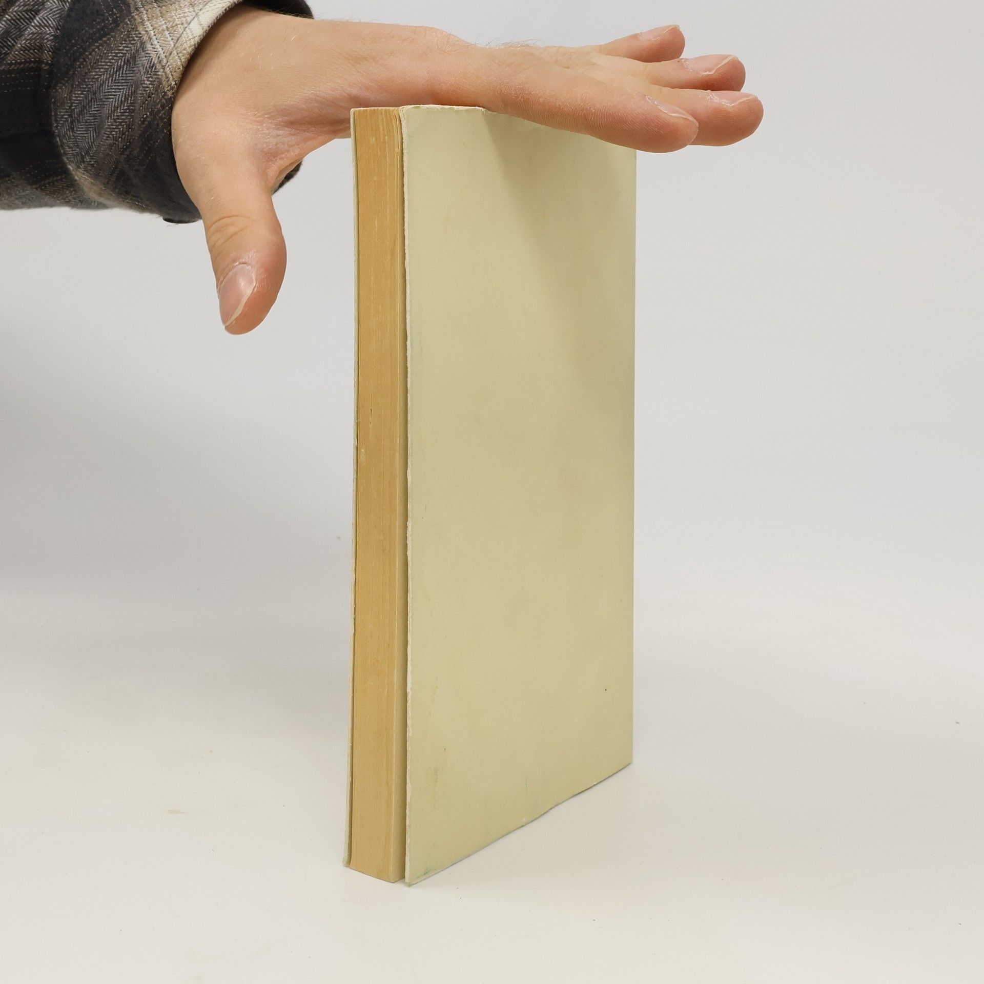 Rosa Luxemburg Politische Texte