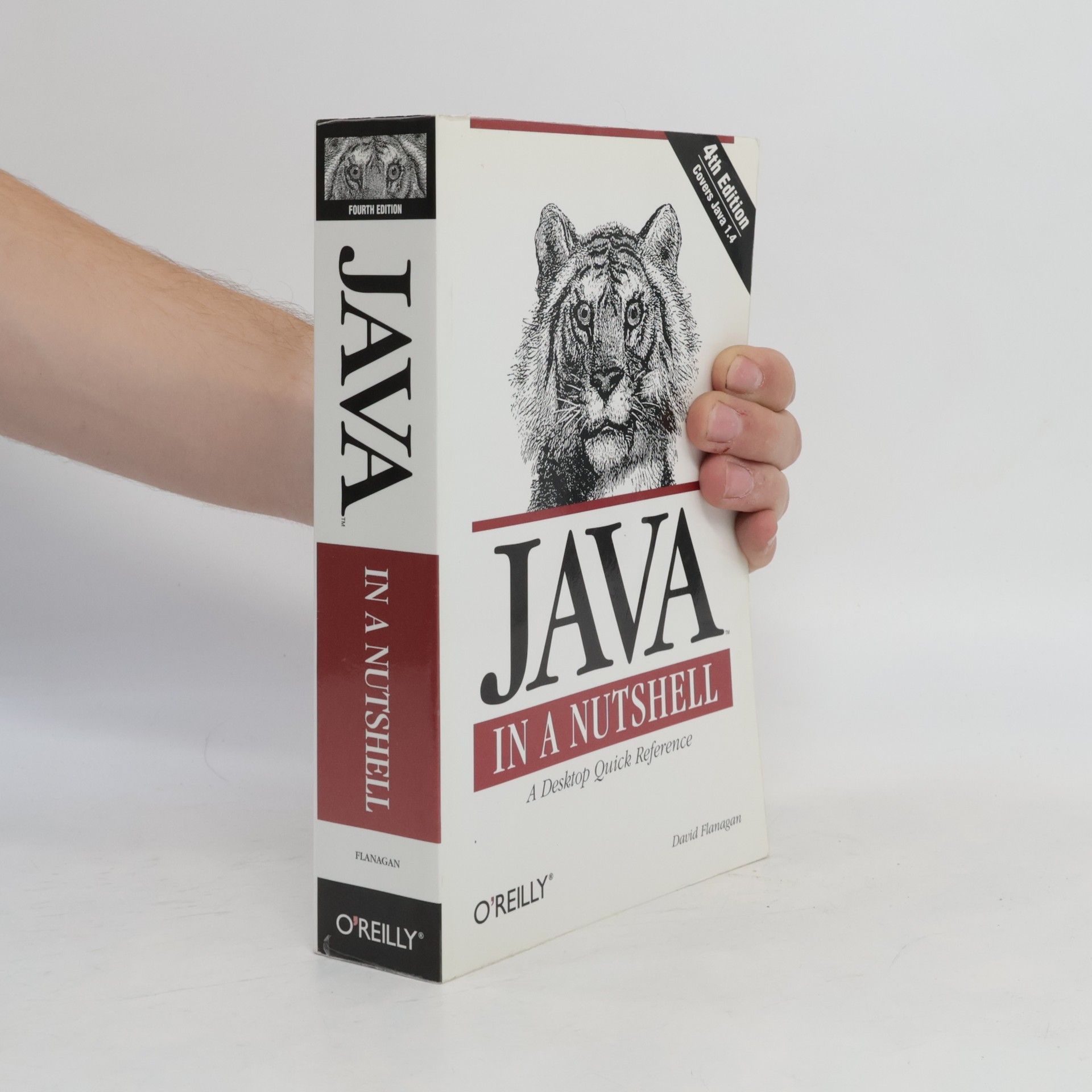 David Flanagan Java in a nutshell