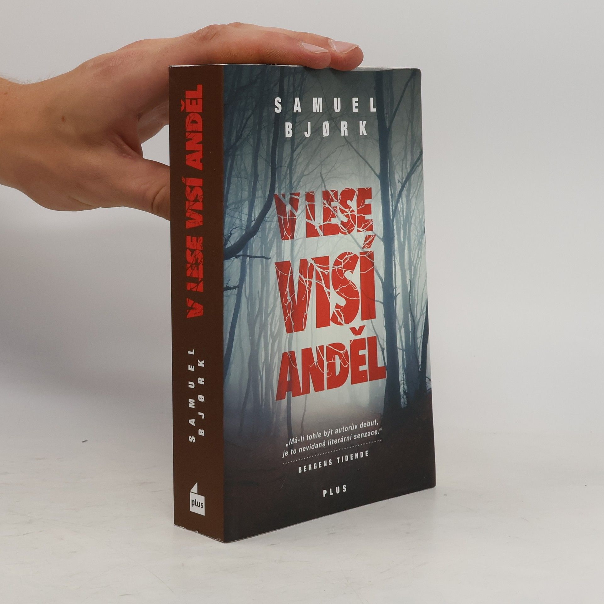 Samuel Bjork V lese visí anděl