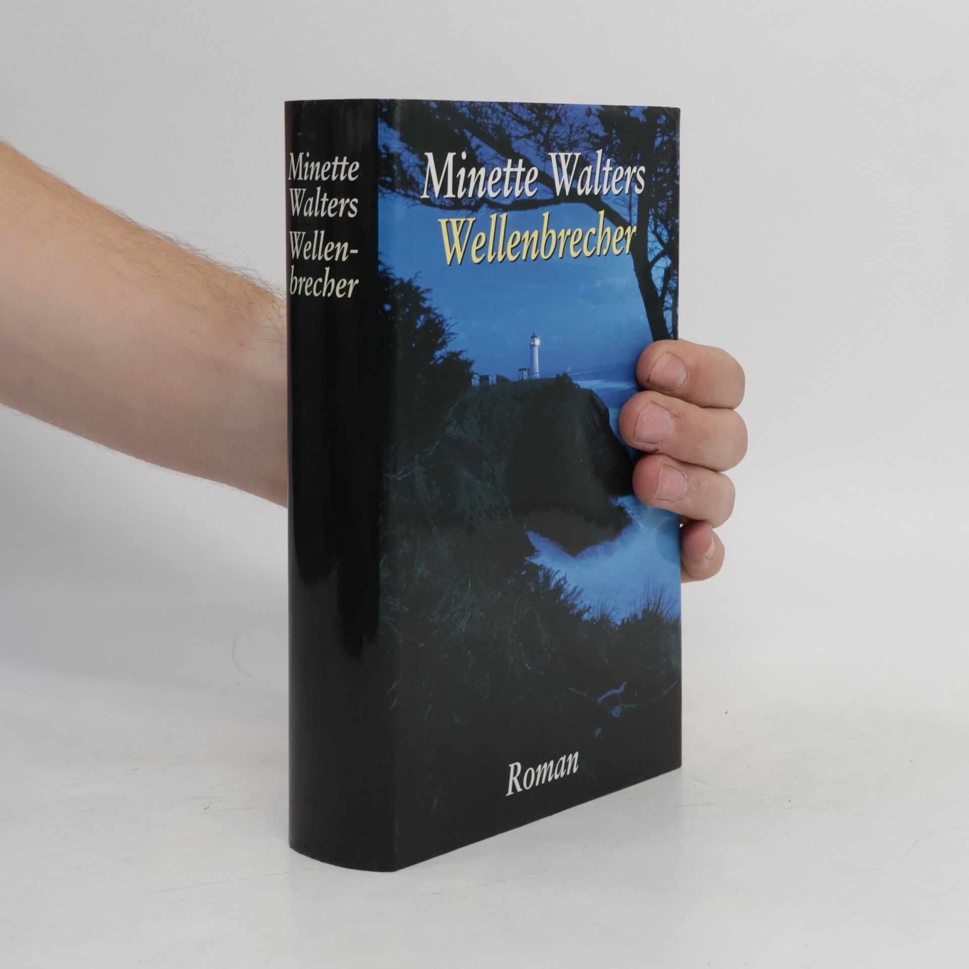 Minette Walters Wellenbrecher