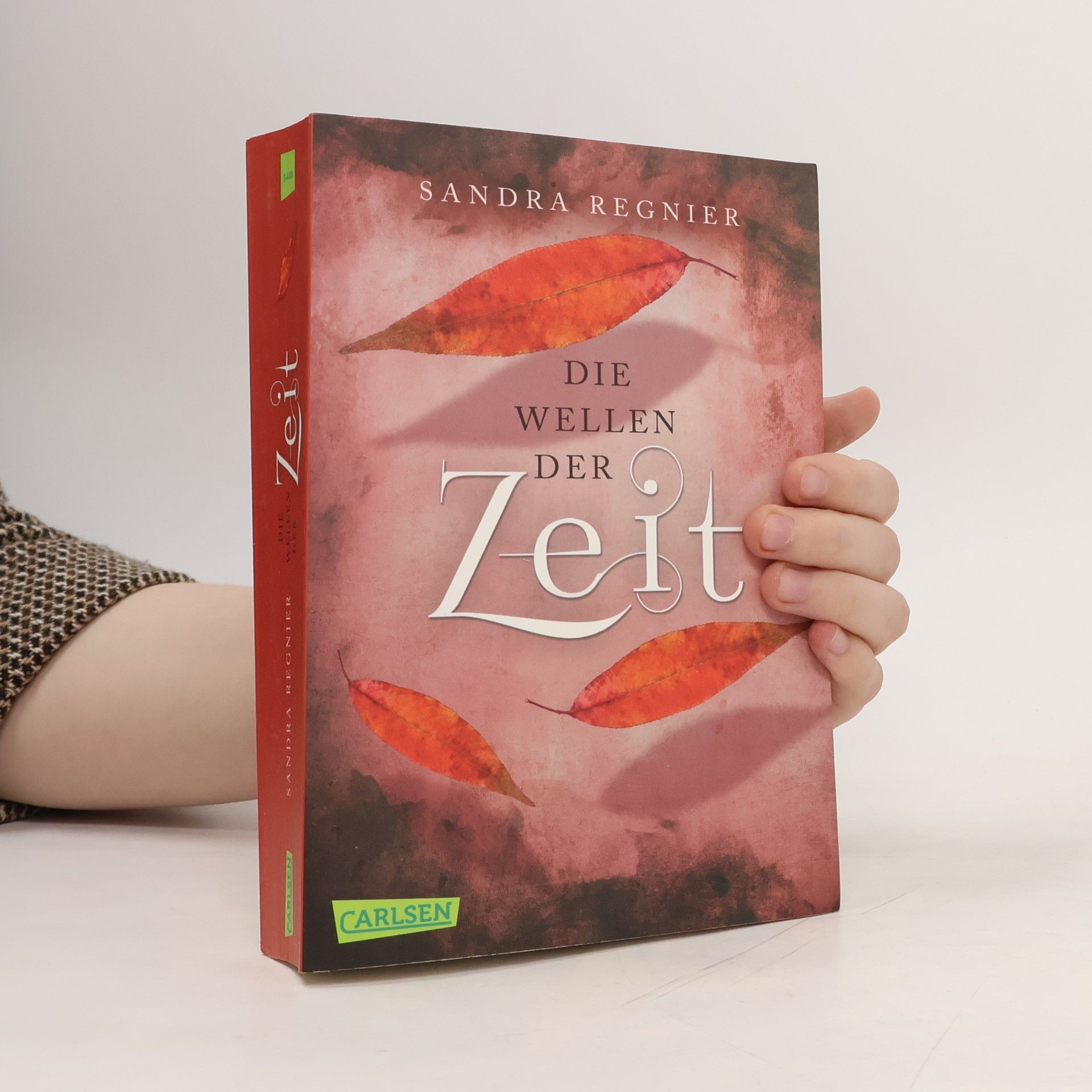 Sandra Reginer Die Wellen der Zeit