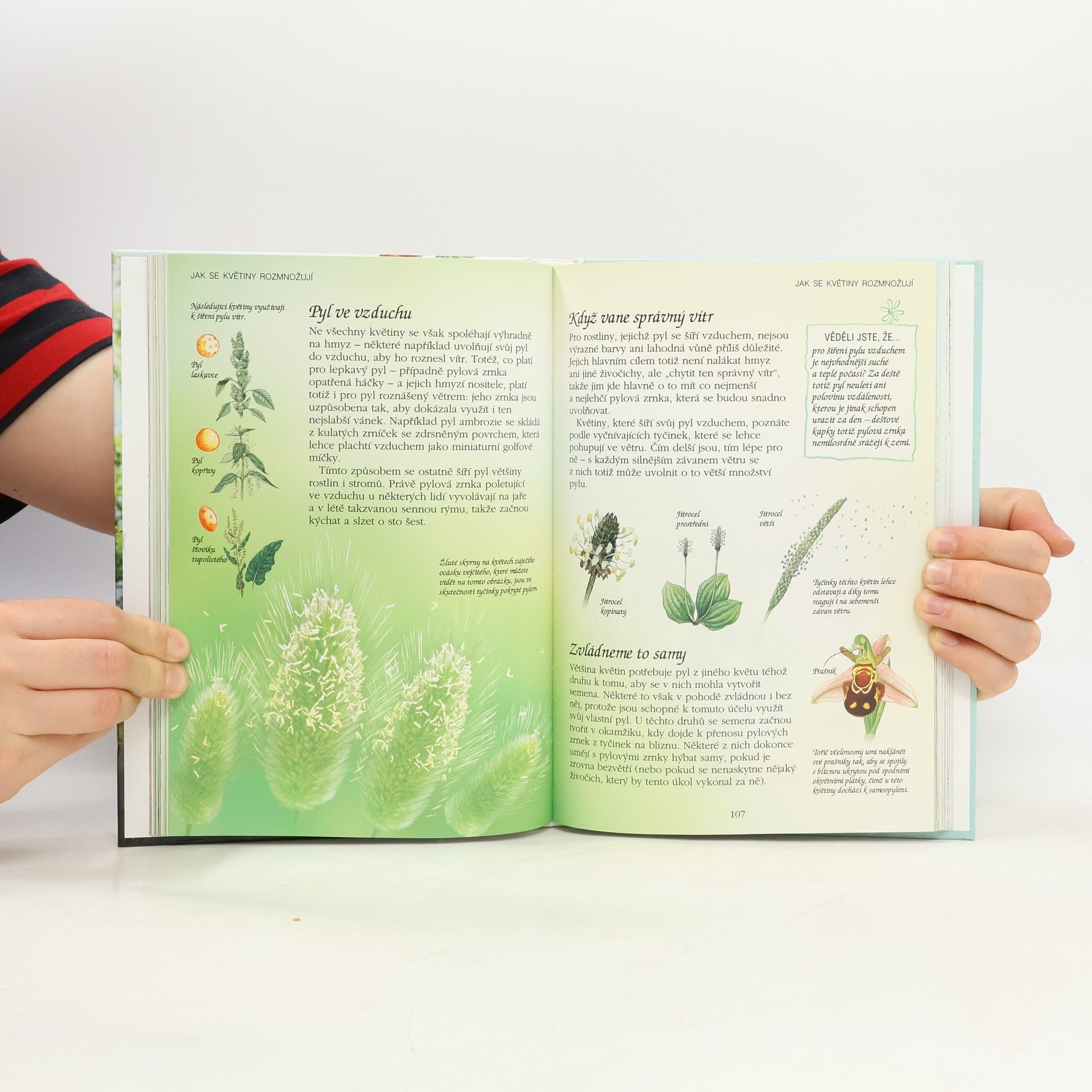 Autores varios Putování přírodou: Stromy, květiny, ptáci