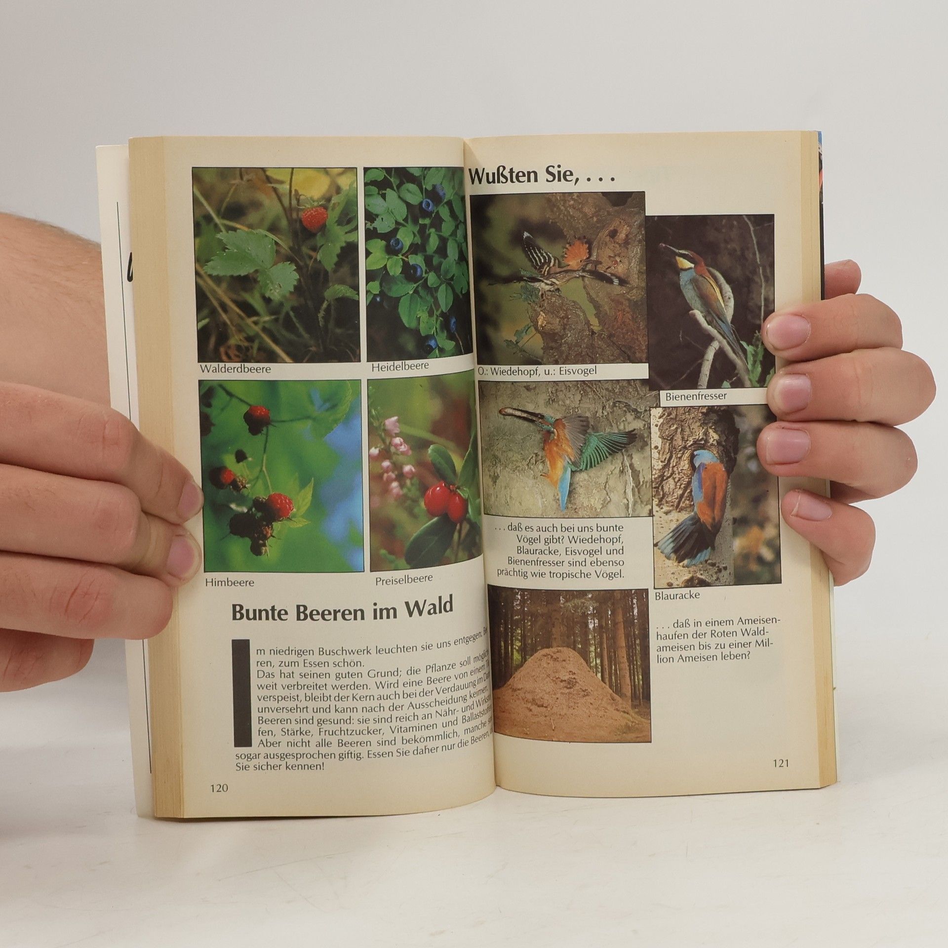 Autores varios Natur Erleben Österreich