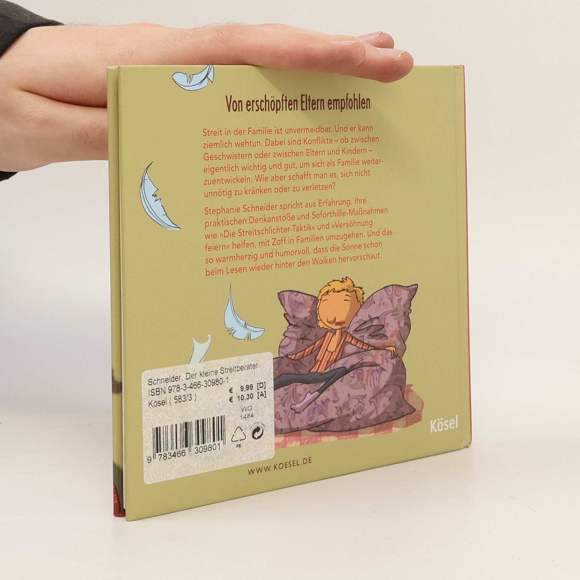 Stephanie Schneider Der kleine Streitberater
