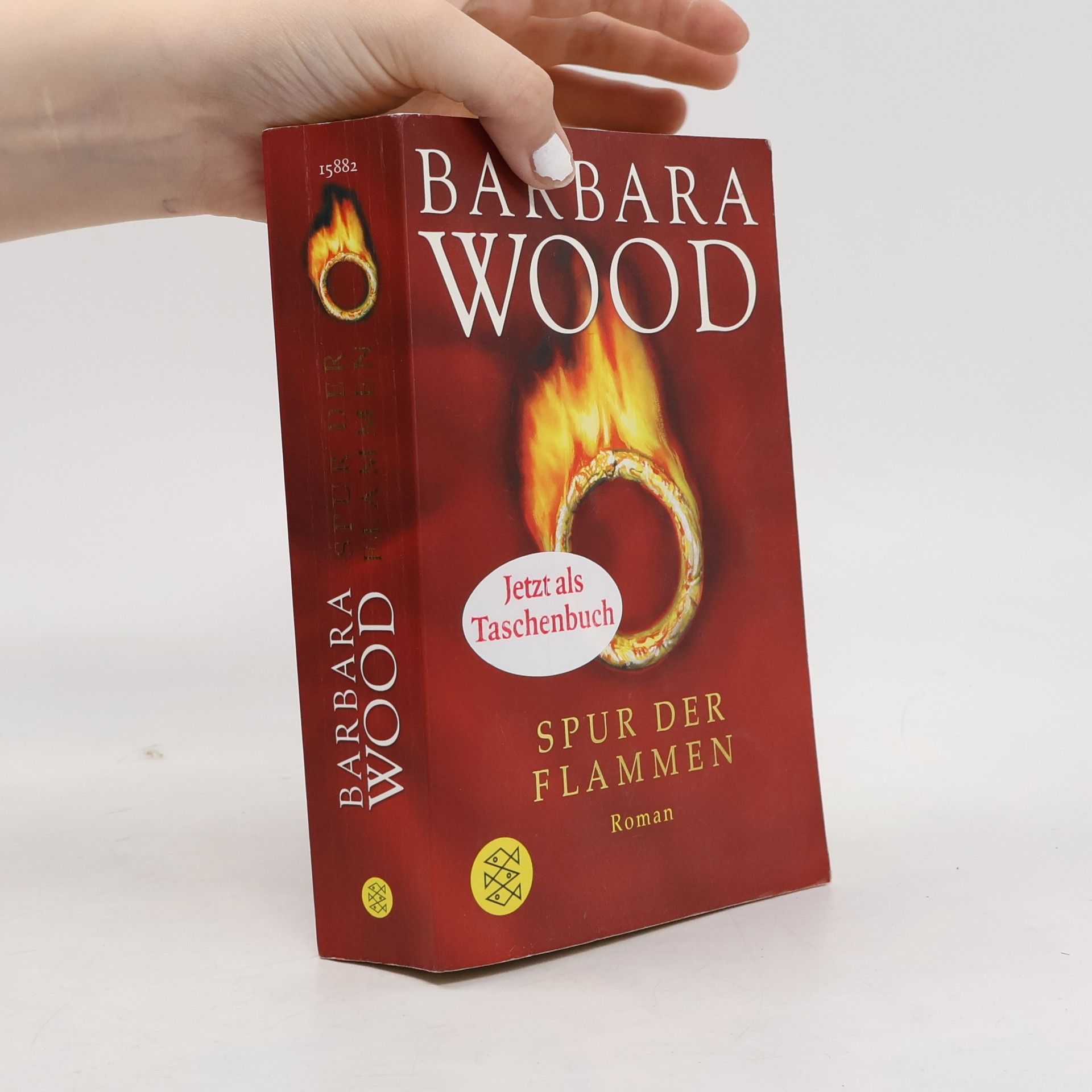 Barbara Wood Spur der Flammen