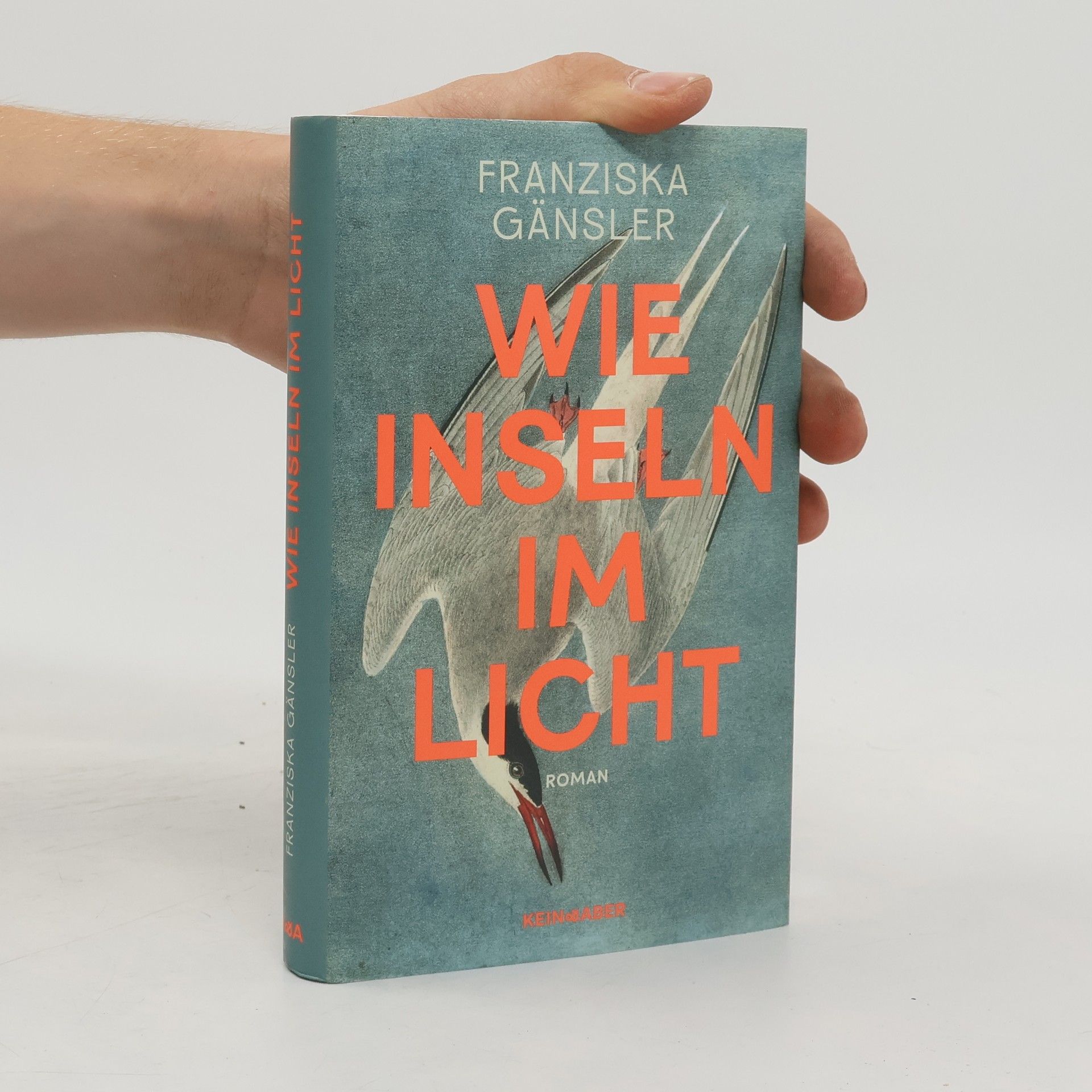Franziska Gänsler Wie Inseln im Licht