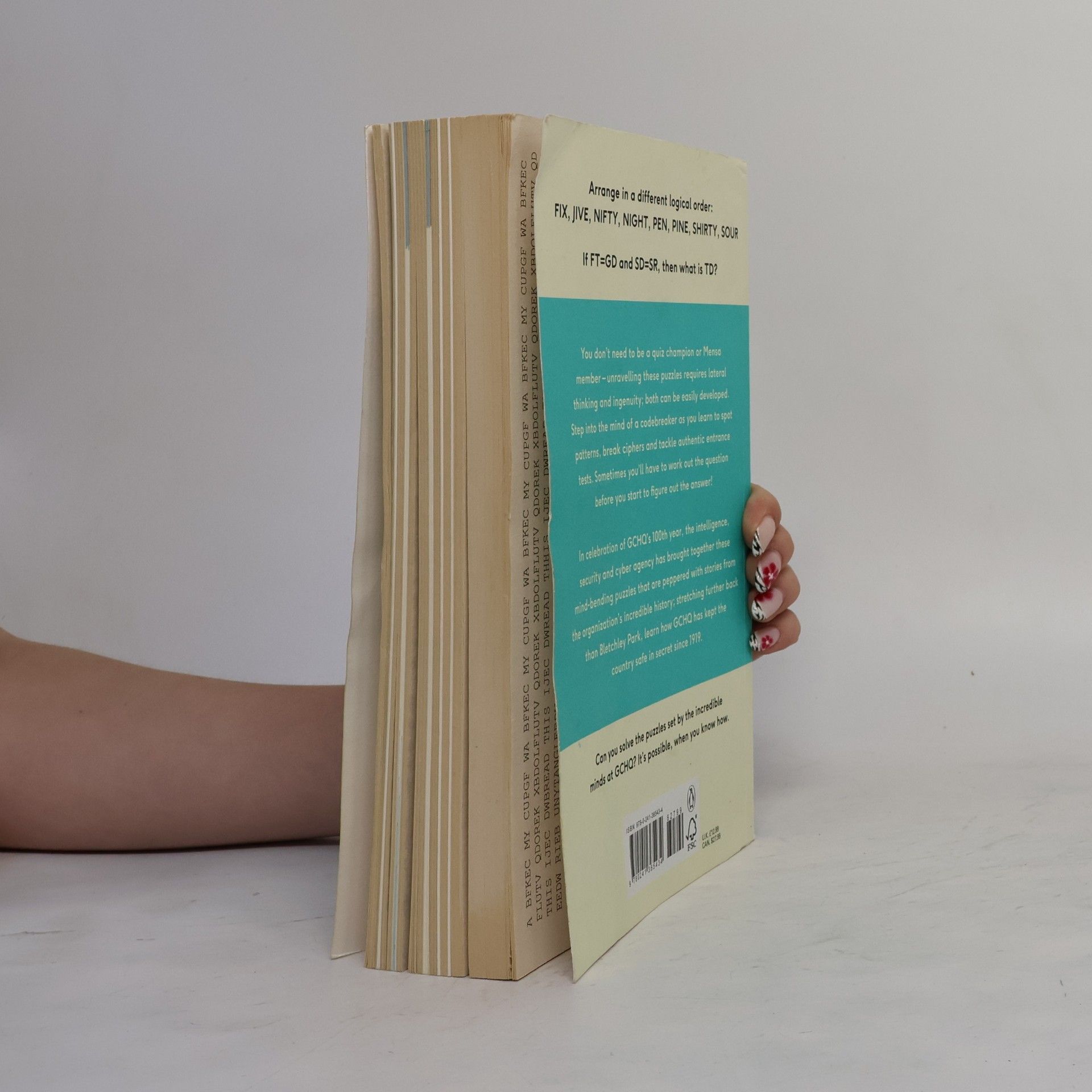 GCHQ The GCHQ Puzzle Book II