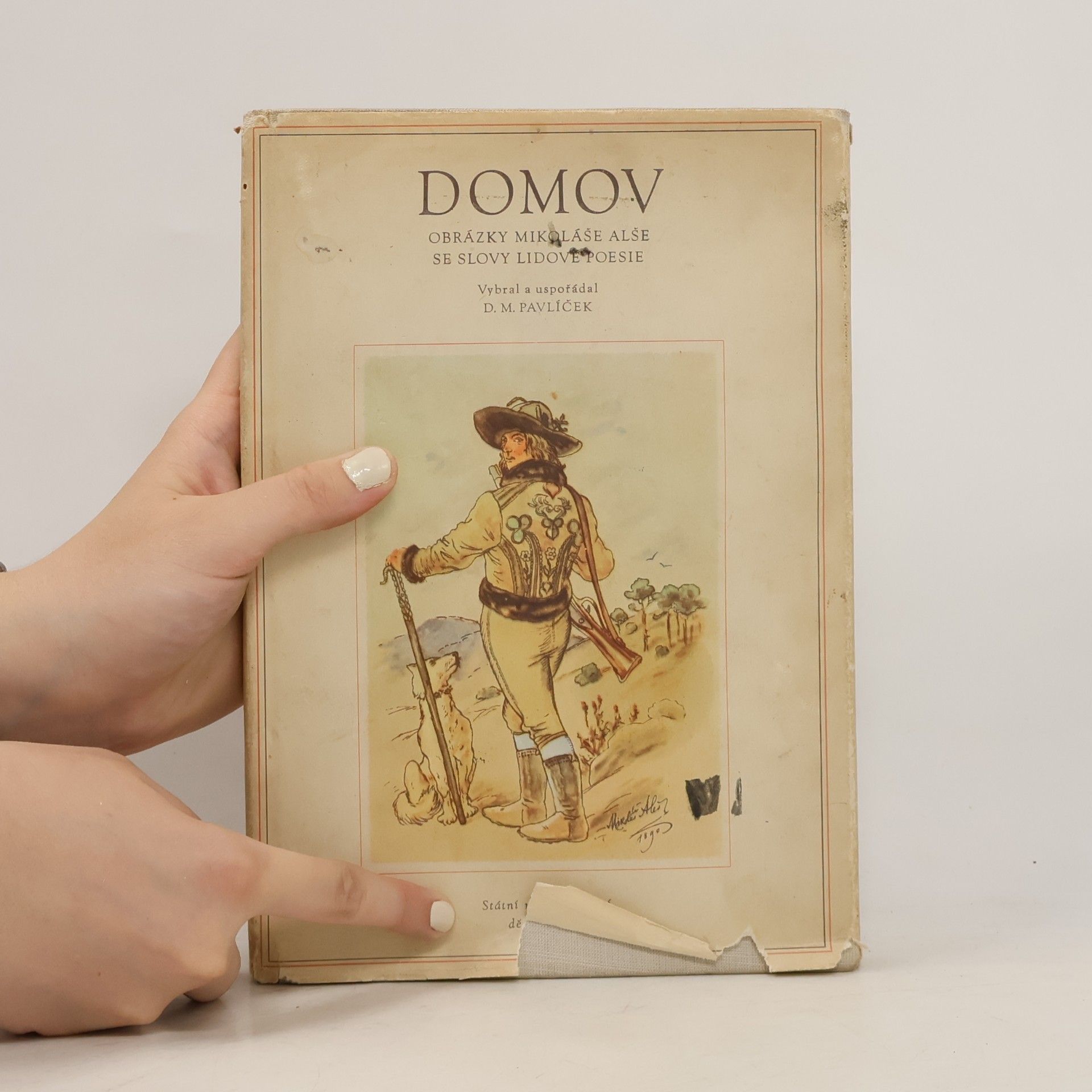 Mikoláš Aleš Domov