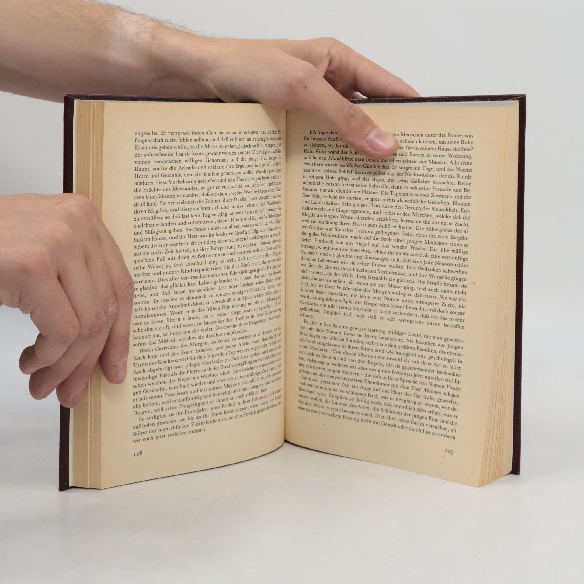 Miguel de Cervantes Saavedra Exemplarische Novellen