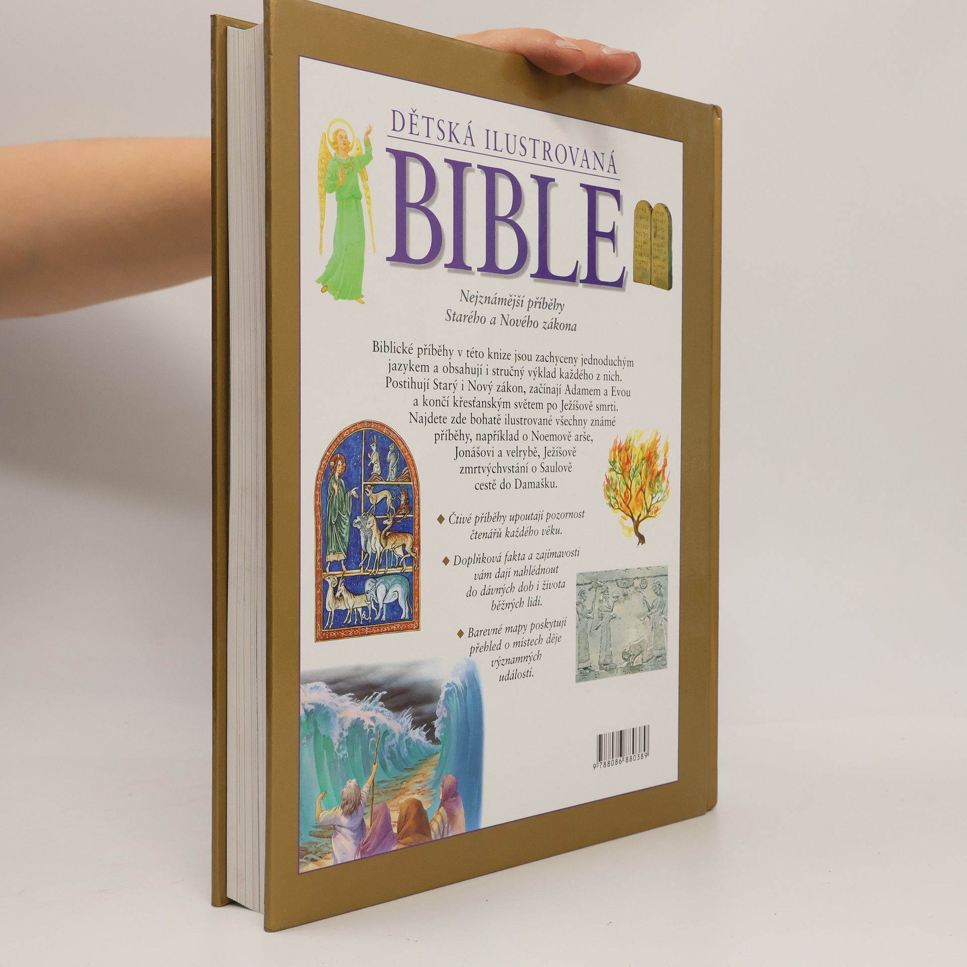 Janet Dyson Dětská ilustrovaná Bible