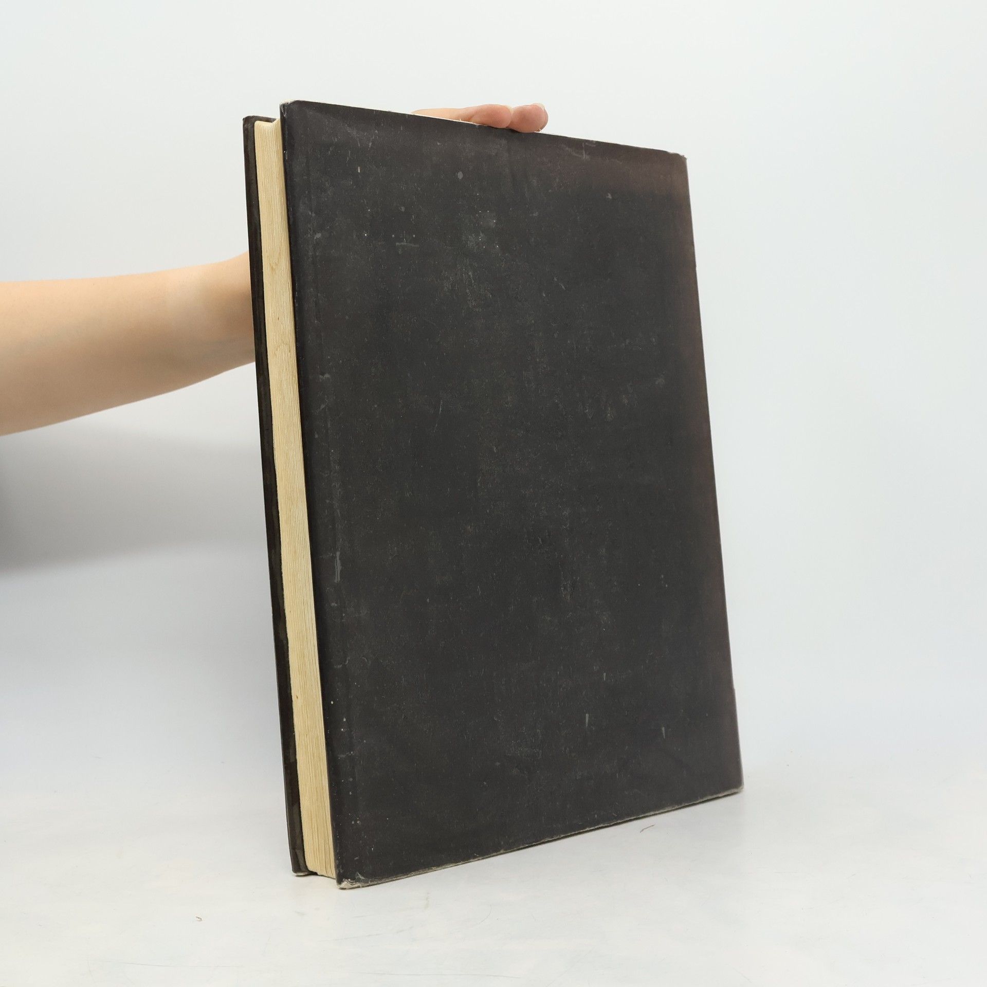 Collectif d'auteurs Oskar Kokoschka