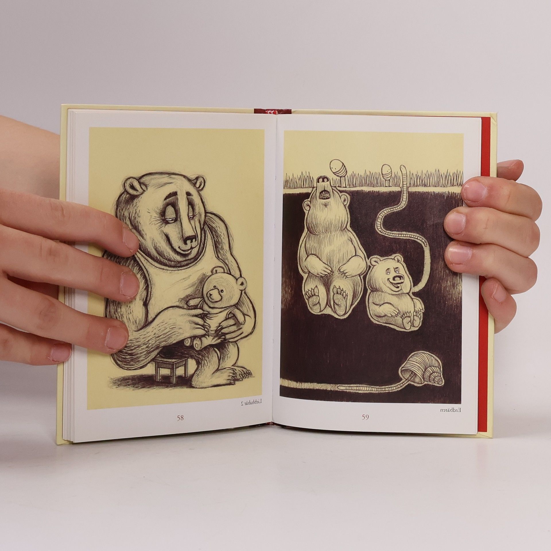 Rene Ammann Das Bärbuch