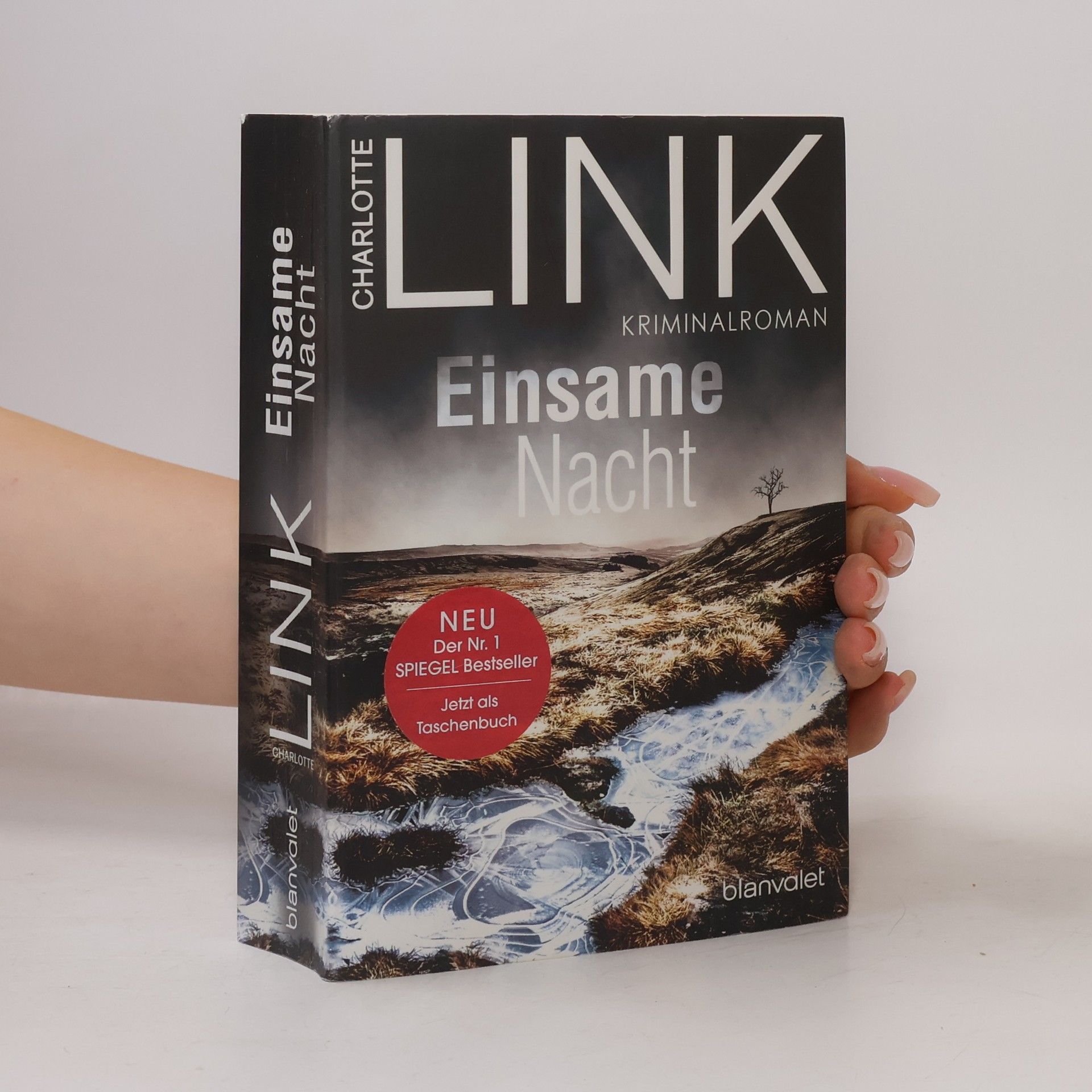Charlotte Link Einsame Nacht