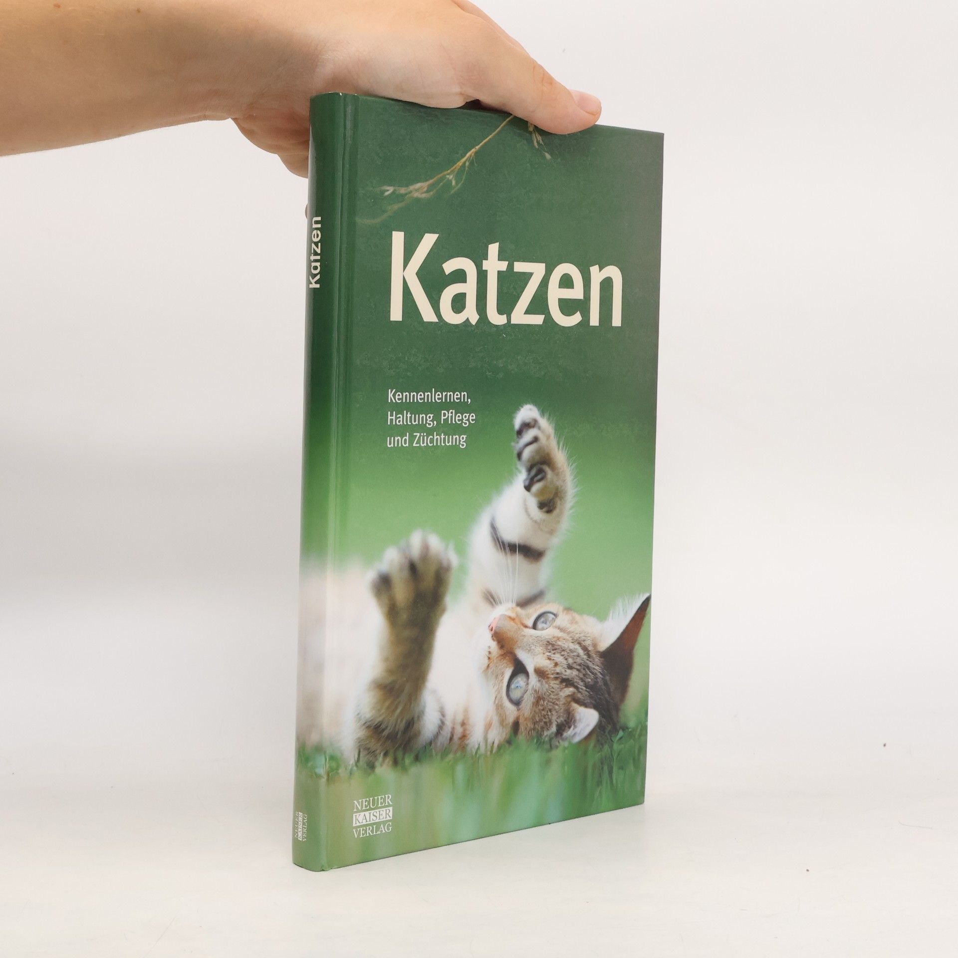 Kolektív autorov Katzen