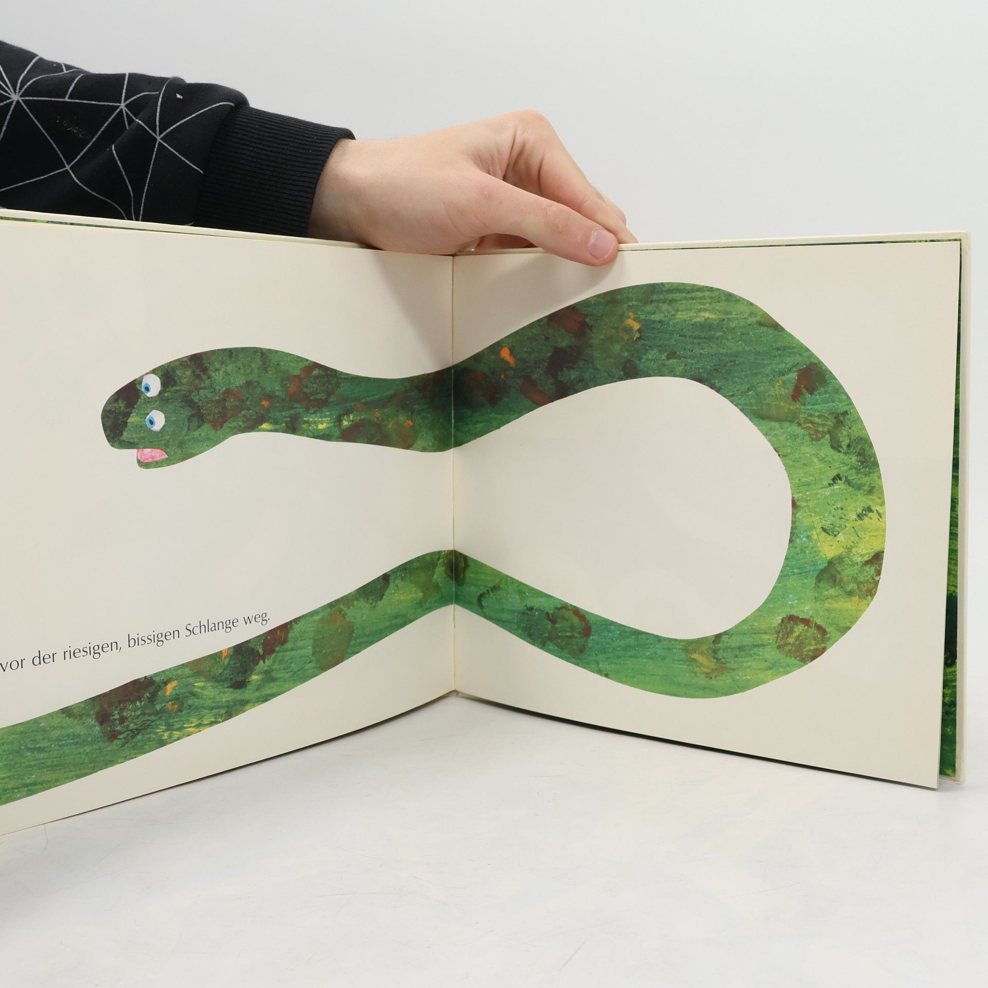 Eric Carle Die kleine Maus sucht einen Freund
