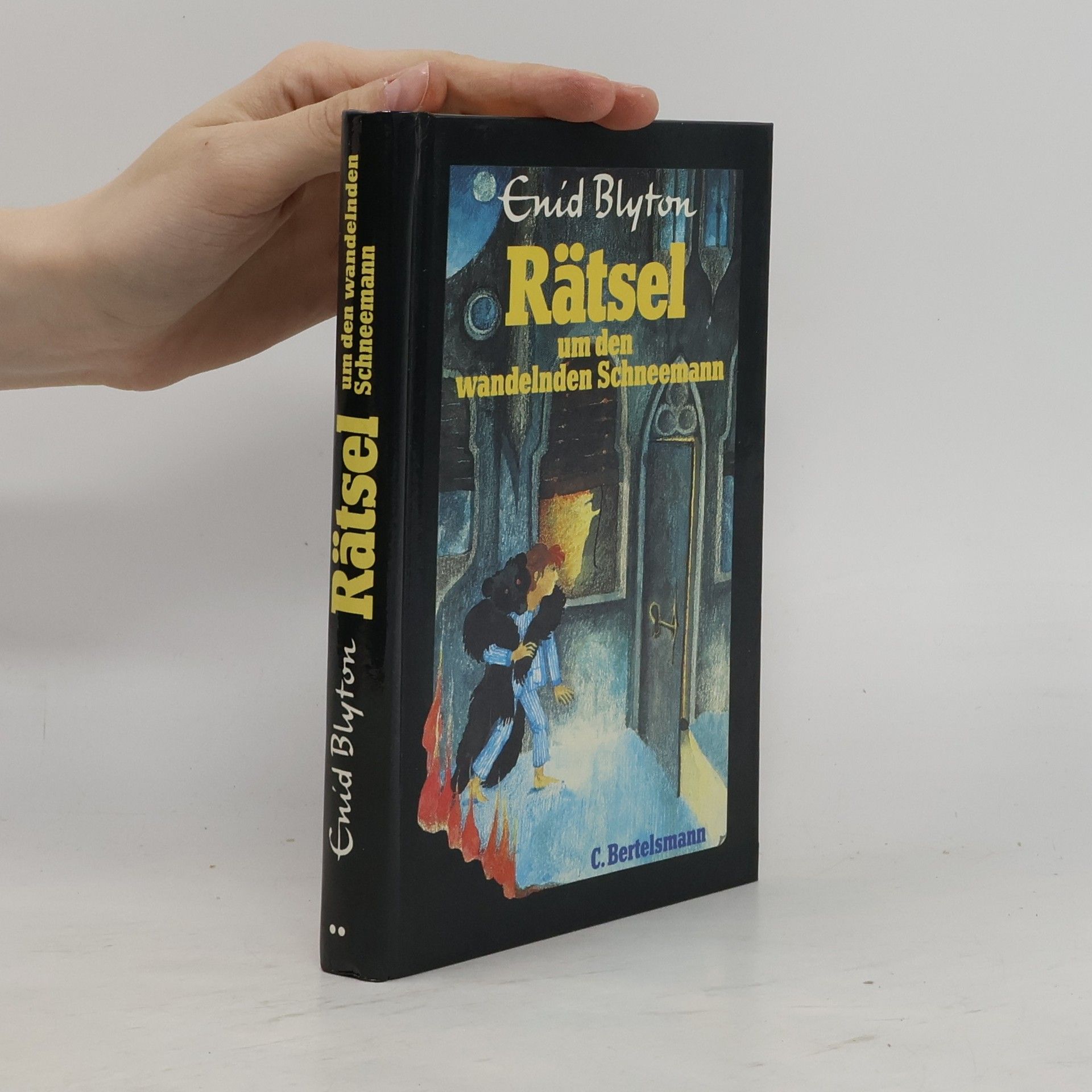 Enid Blyton Rätsel um den wandelden Schneemann