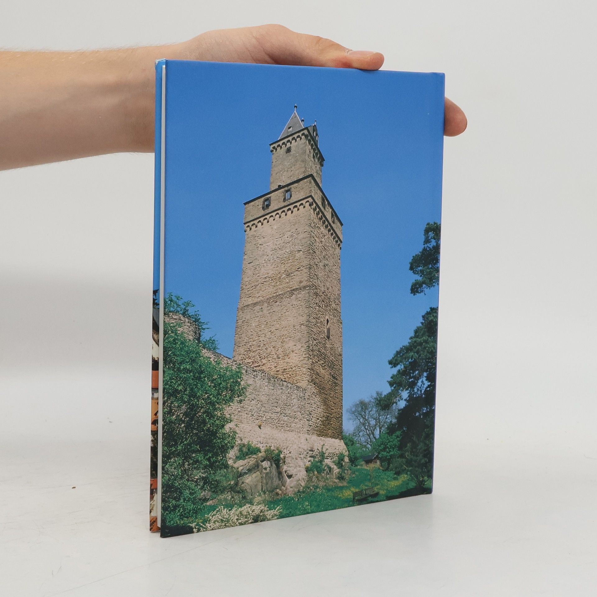 Michael Riela nder Historisches Kronberg