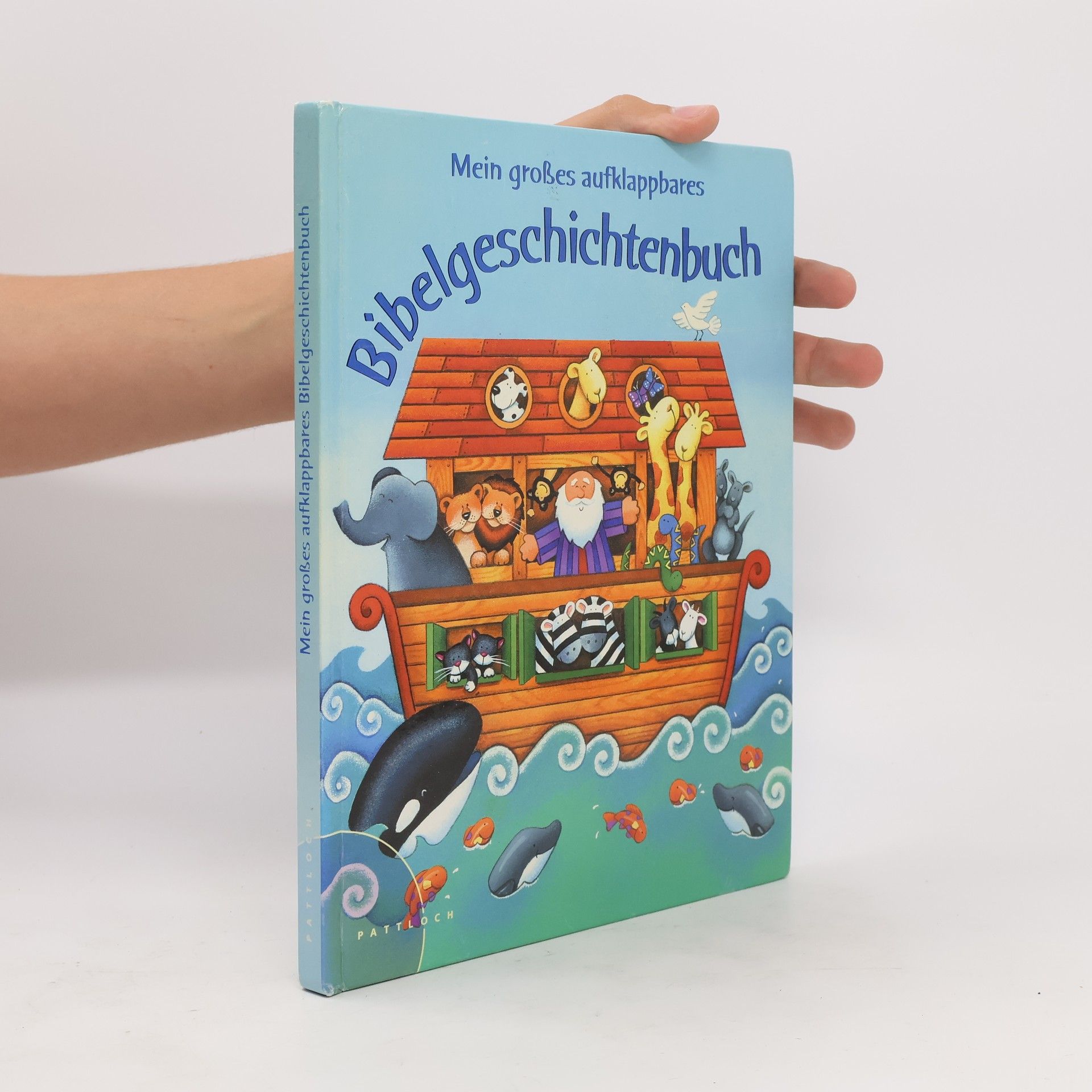 Allia Zobel Nolan Mein großes aufklappbares Bibelgeschichtenbuch