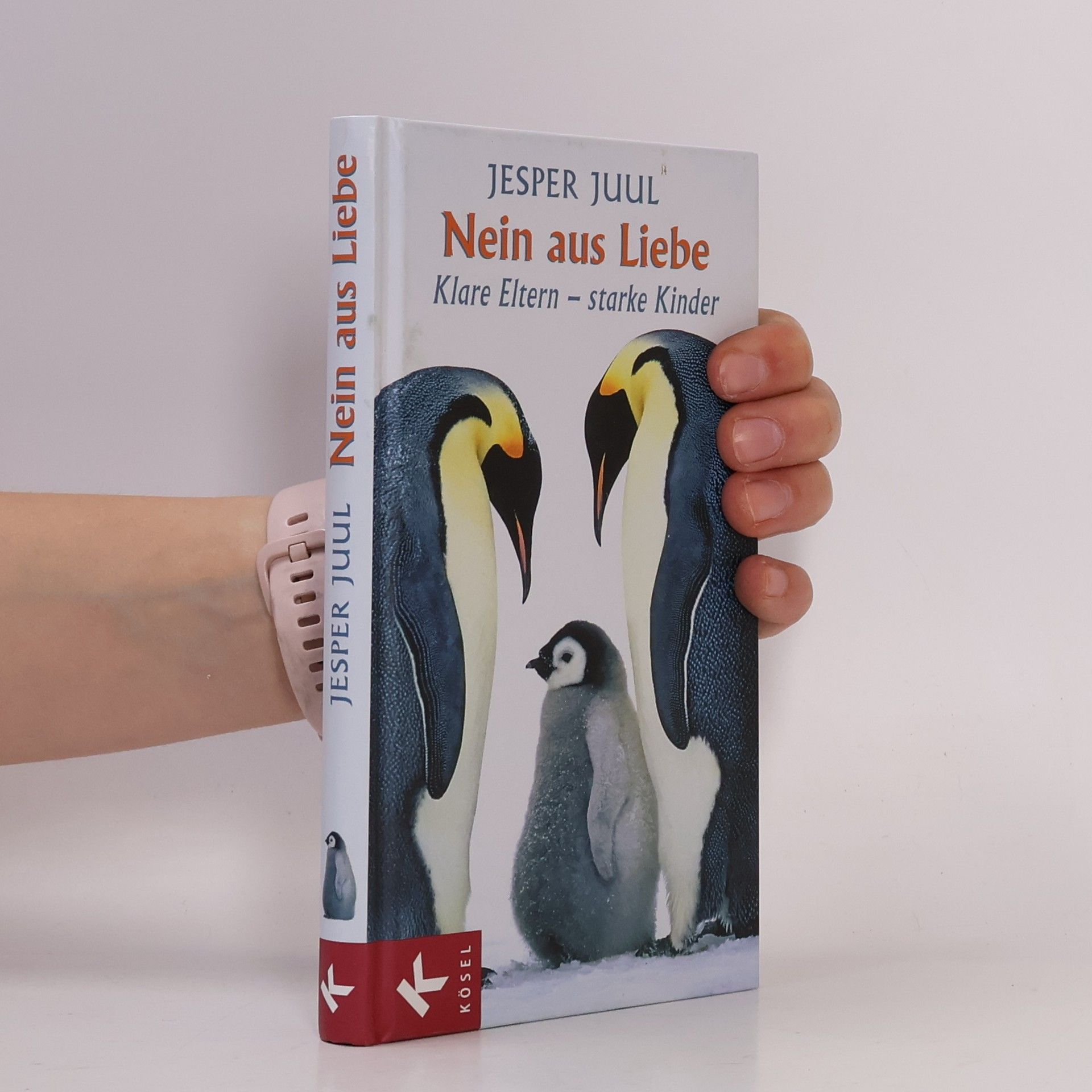 Jesper Juul Nein aus Liebe