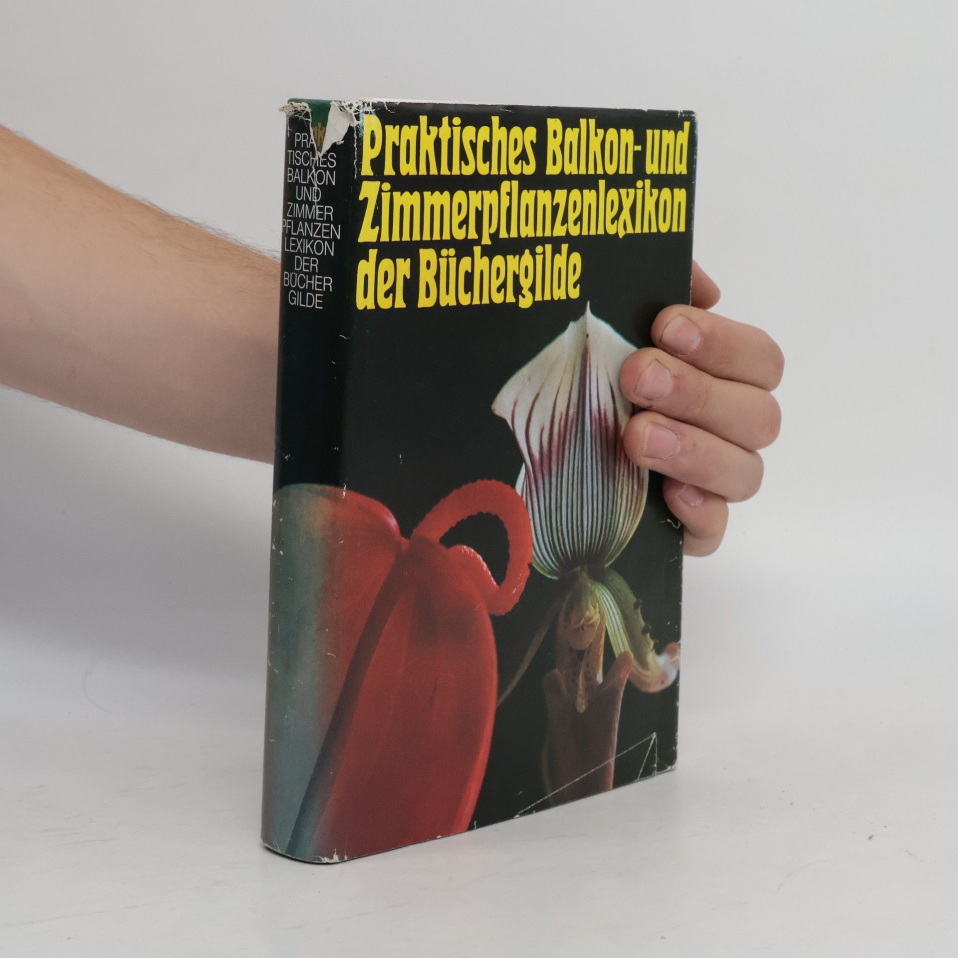 Jutta Heinemann Praktisches Balkon- und Zimmerpflanzenlexikon