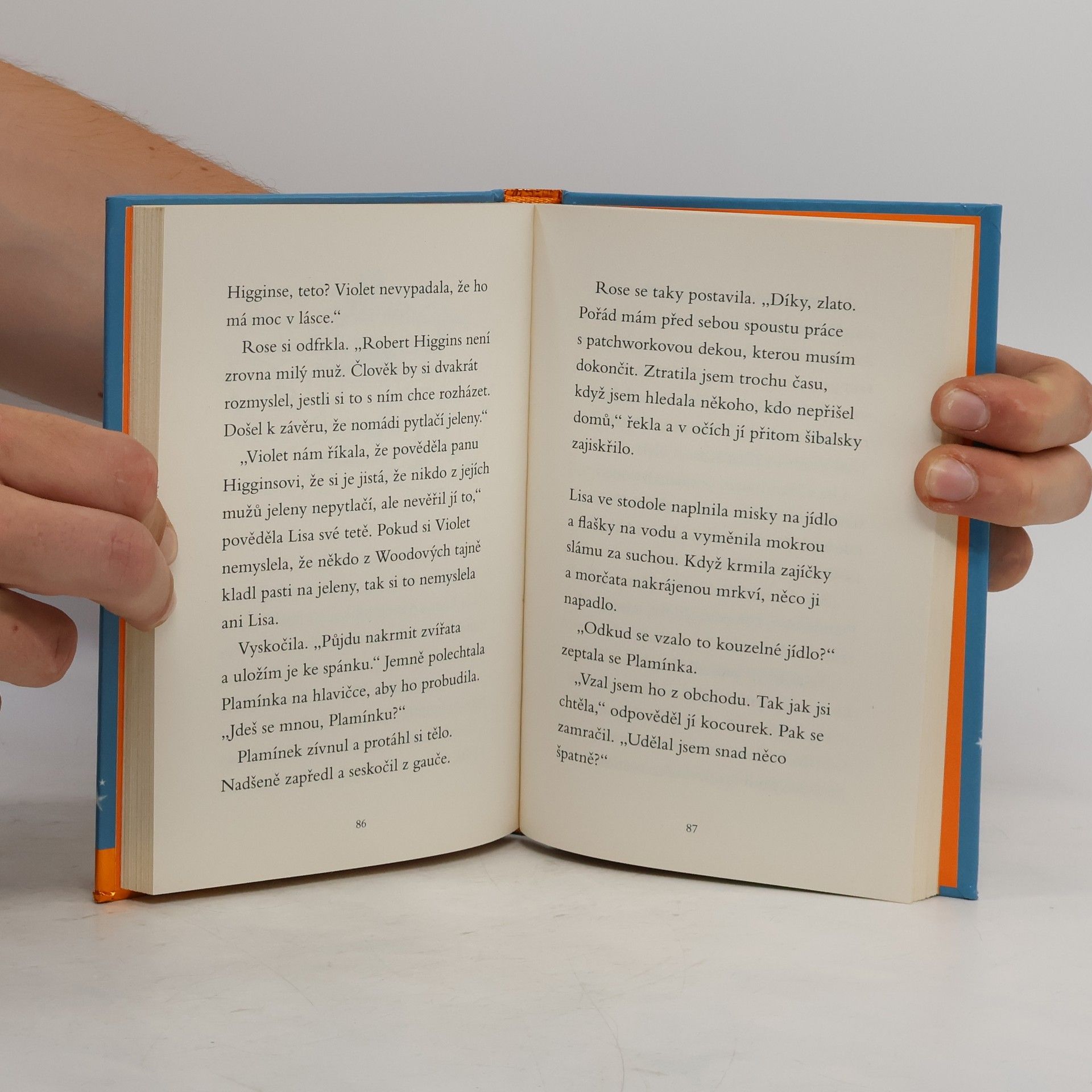 Sue Bentley Kouzelné koťátko - Letní dobrodružství