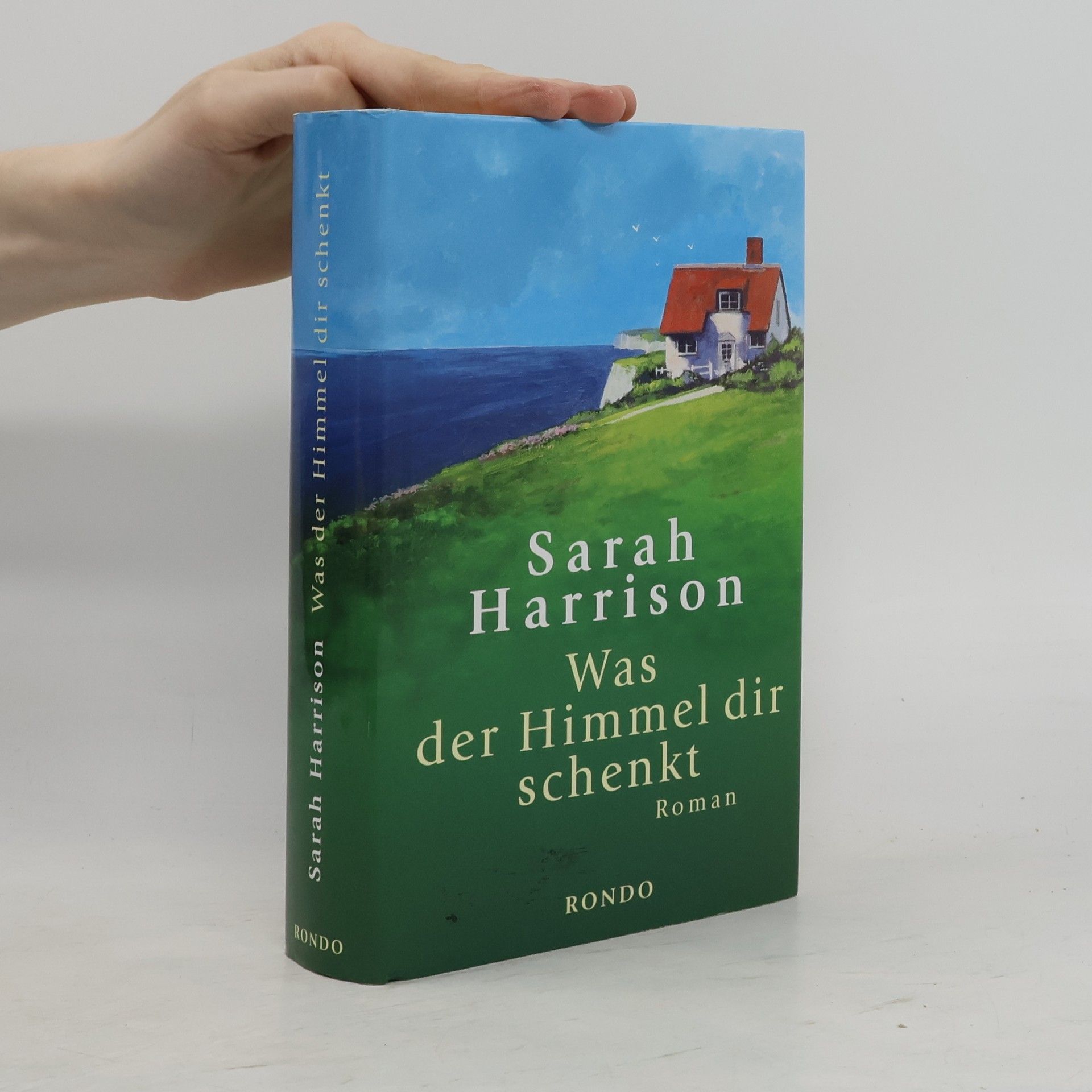 Sarah Harrison Was der Himmel dir schenkt