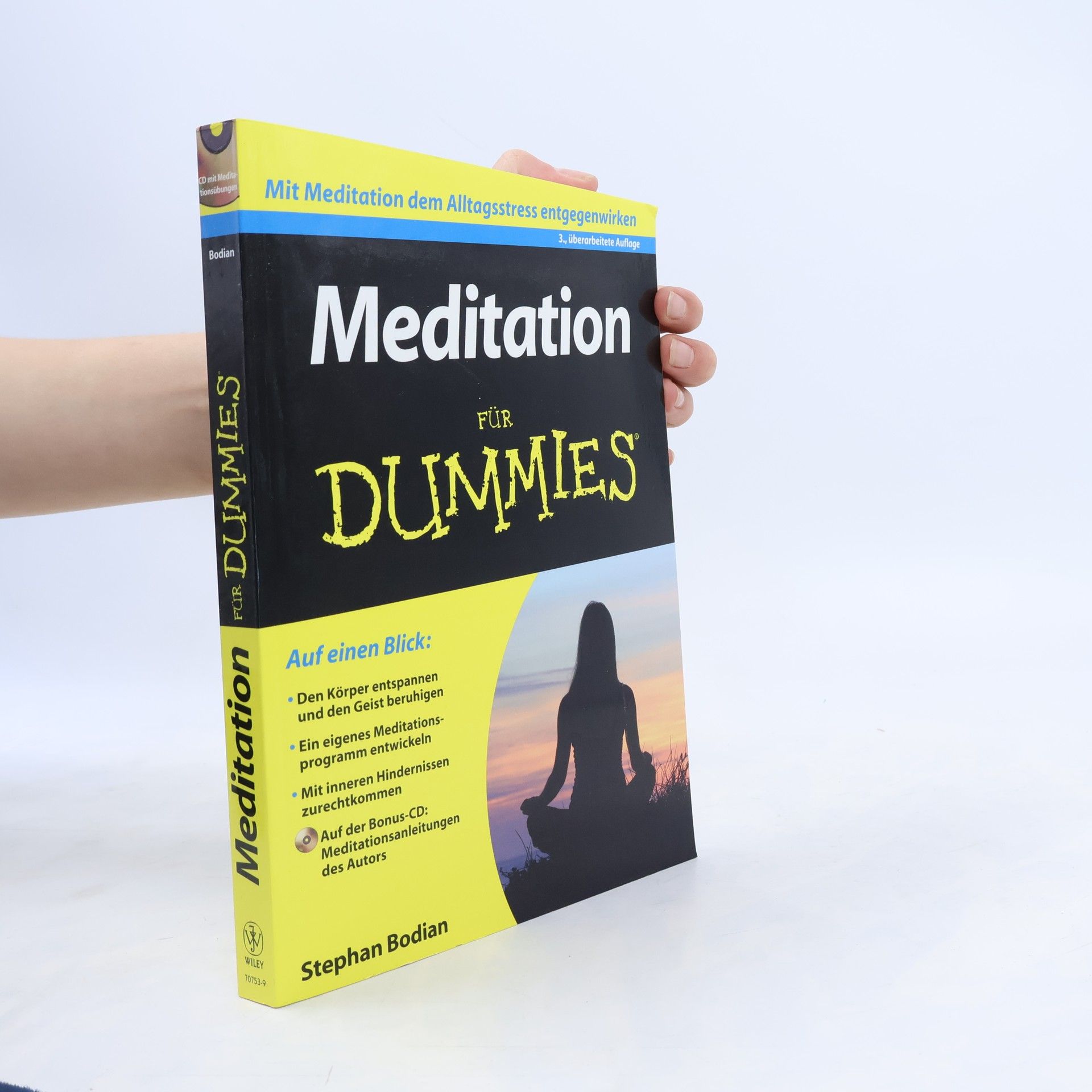 Stephan Bodian Meditation für Dummies - 3., überarbeitete Auflage
