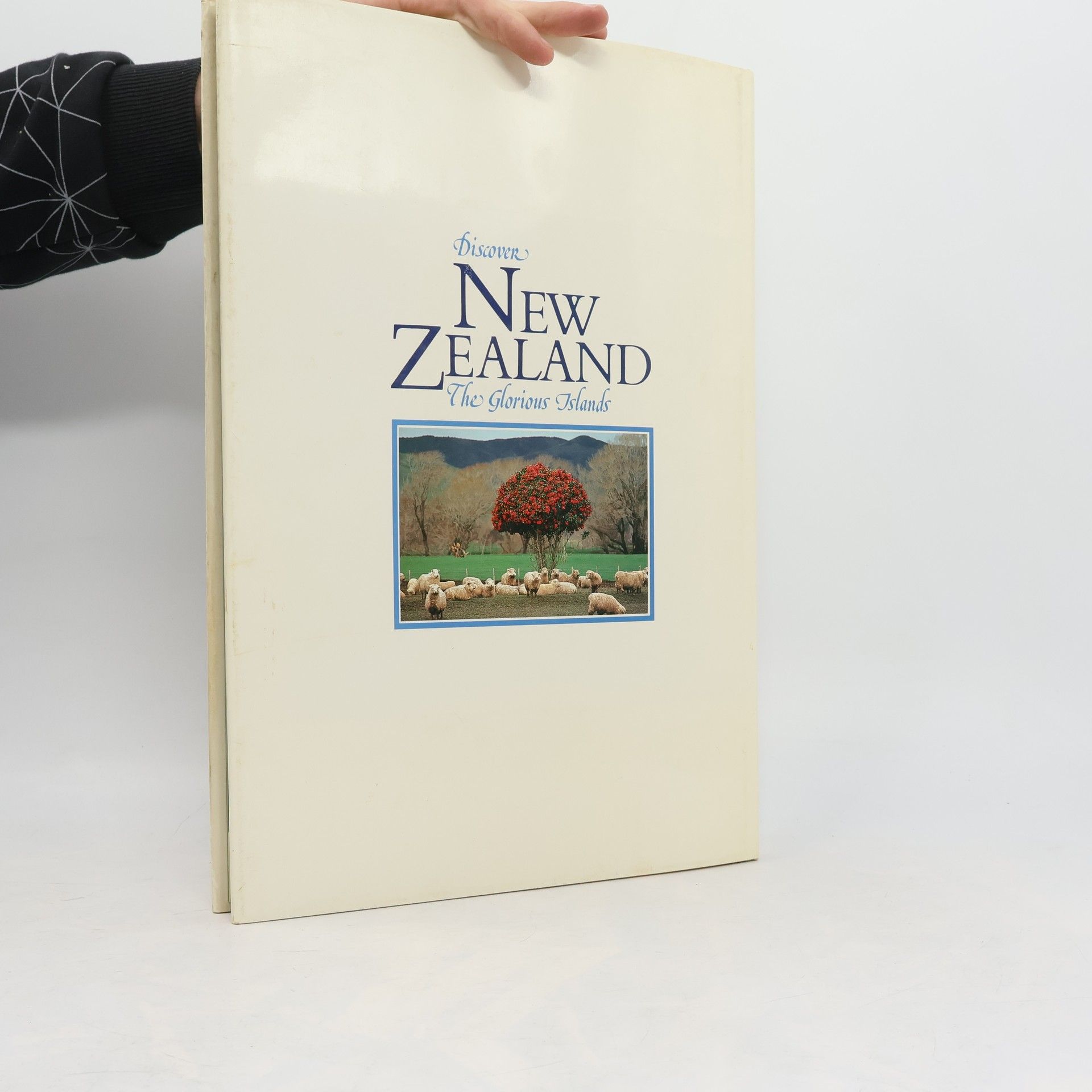 Ray Joyce Discover New Zealand