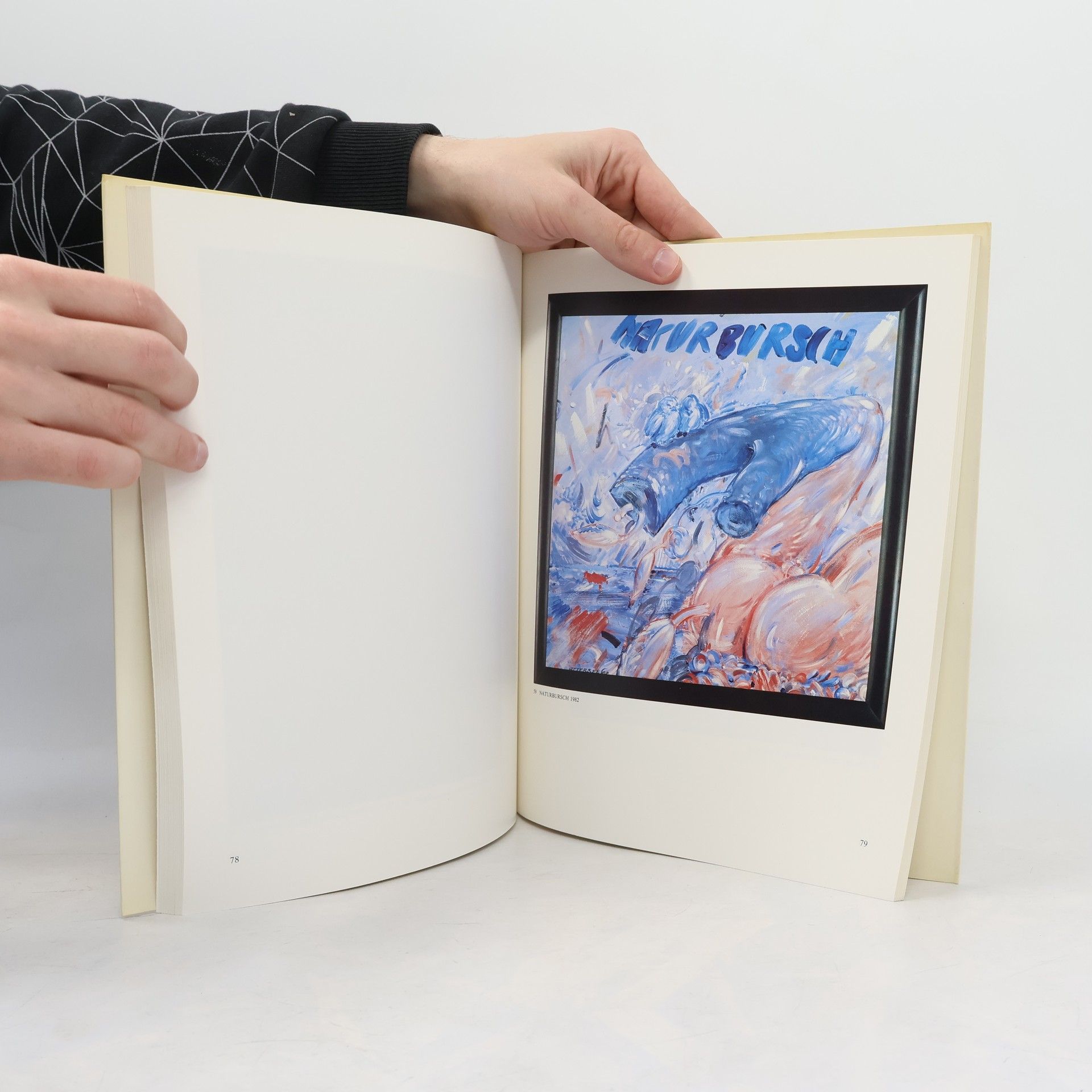 Autorenkollektiv Attersee: Austria, Biennale di Venezia 1984