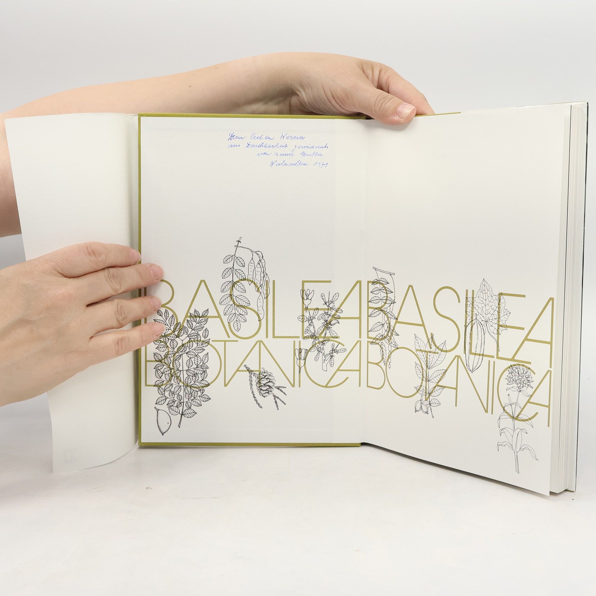 Marilise Rieder Basilea botanica