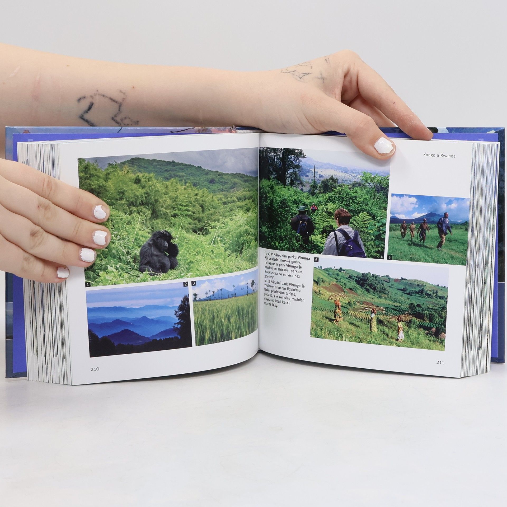 Collectif d'auteurs Hory : (1001 fotografií)