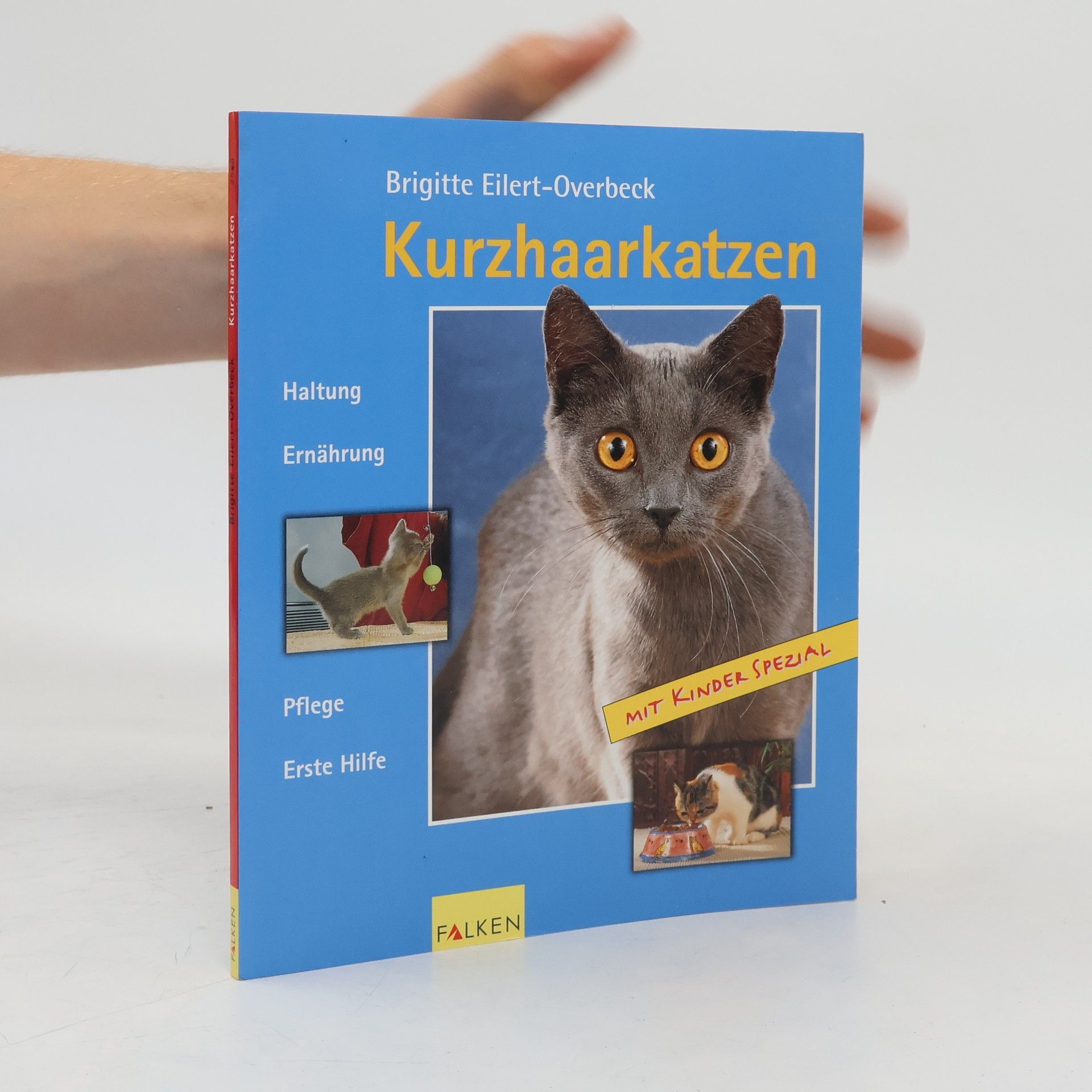 Kurzhaarkatzen