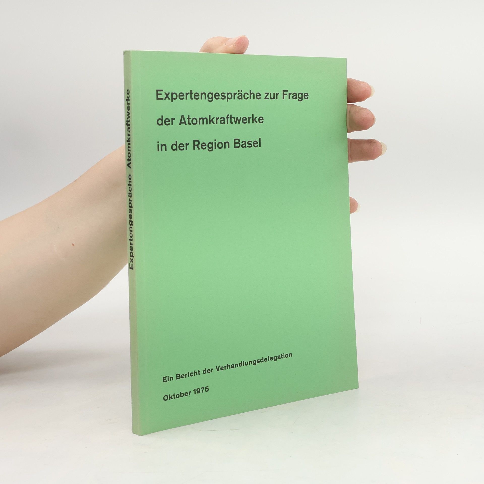 Autorenkollektiv Expertengespräche zur Frage der Atomkraftwerke in der Region Basel