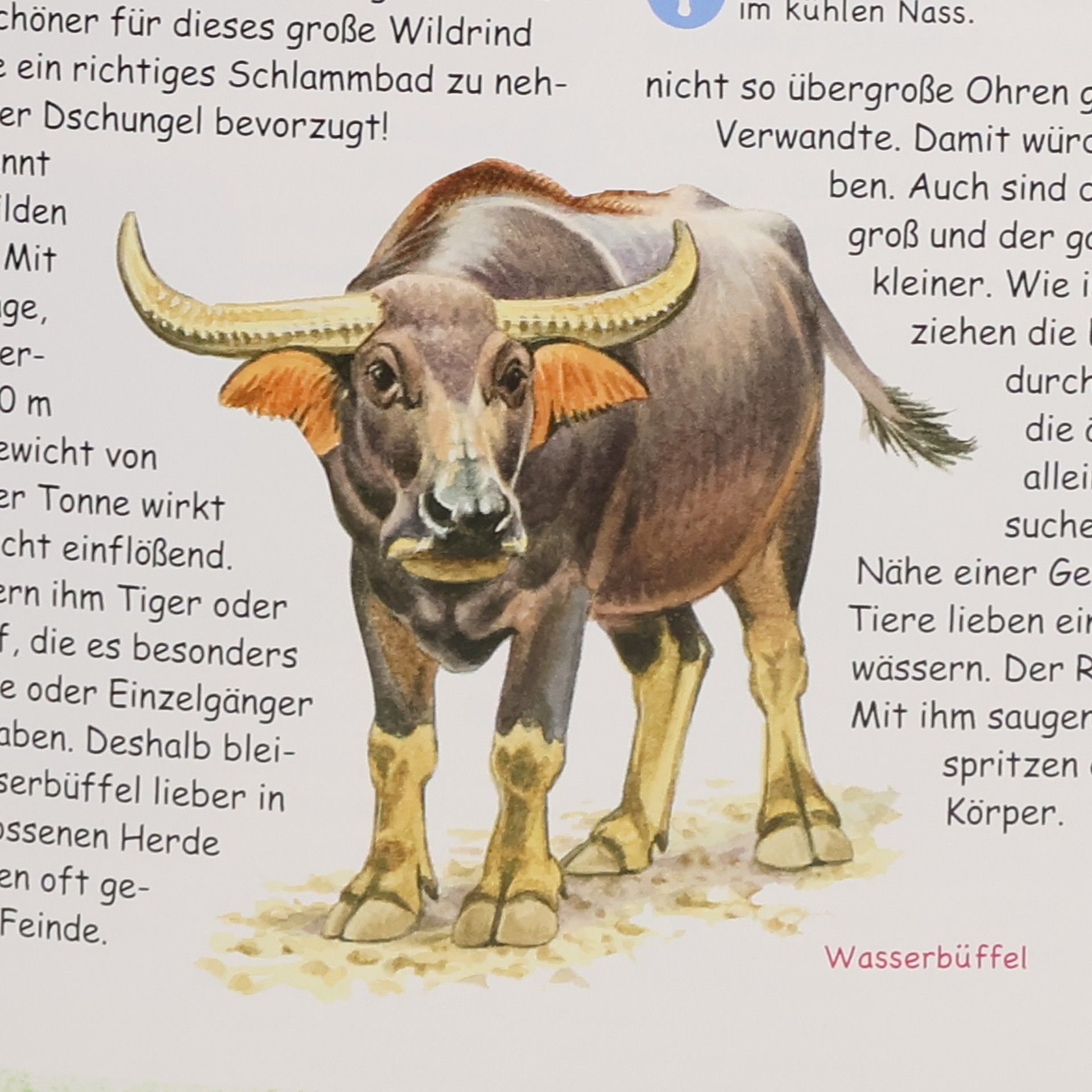 Various authors Tieratlas für Kinder