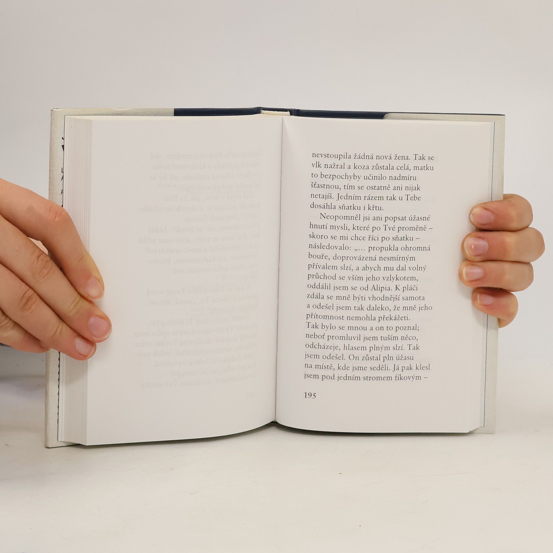 Jostein Gaarder Vita brevis