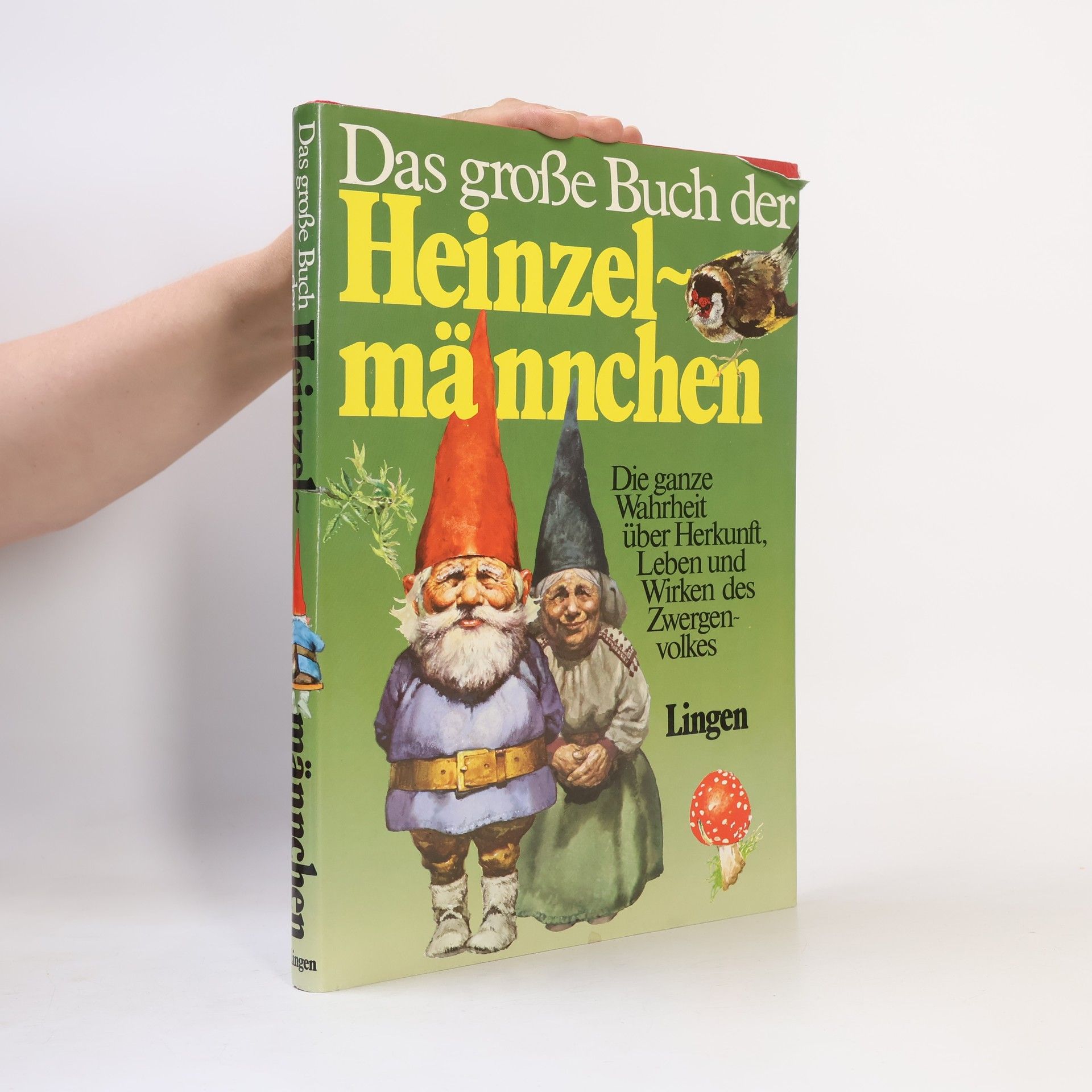 AA.VV. Das große Buch der Heinzel-männchen