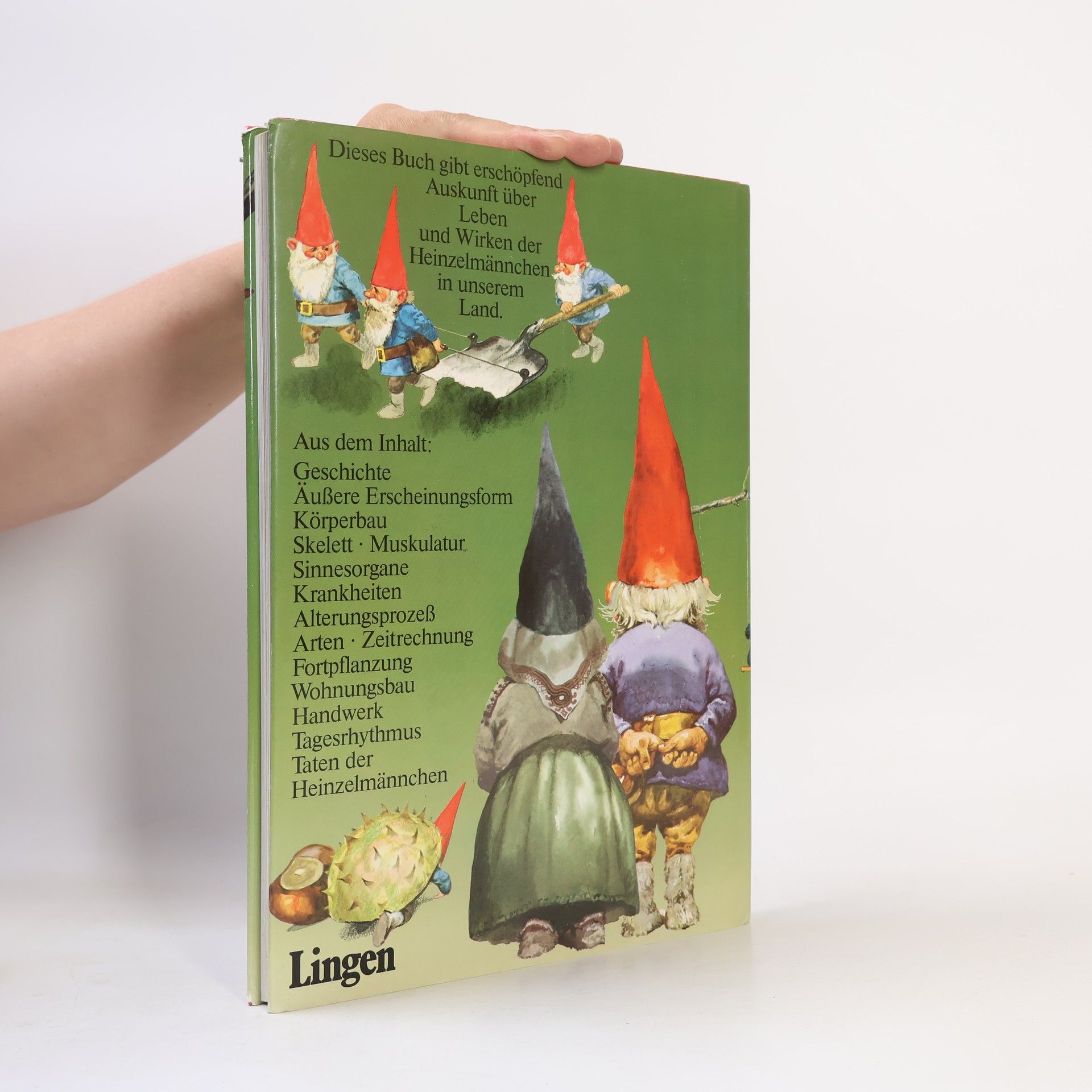 AA.VV. Das große Buch der Heinzel-männchen