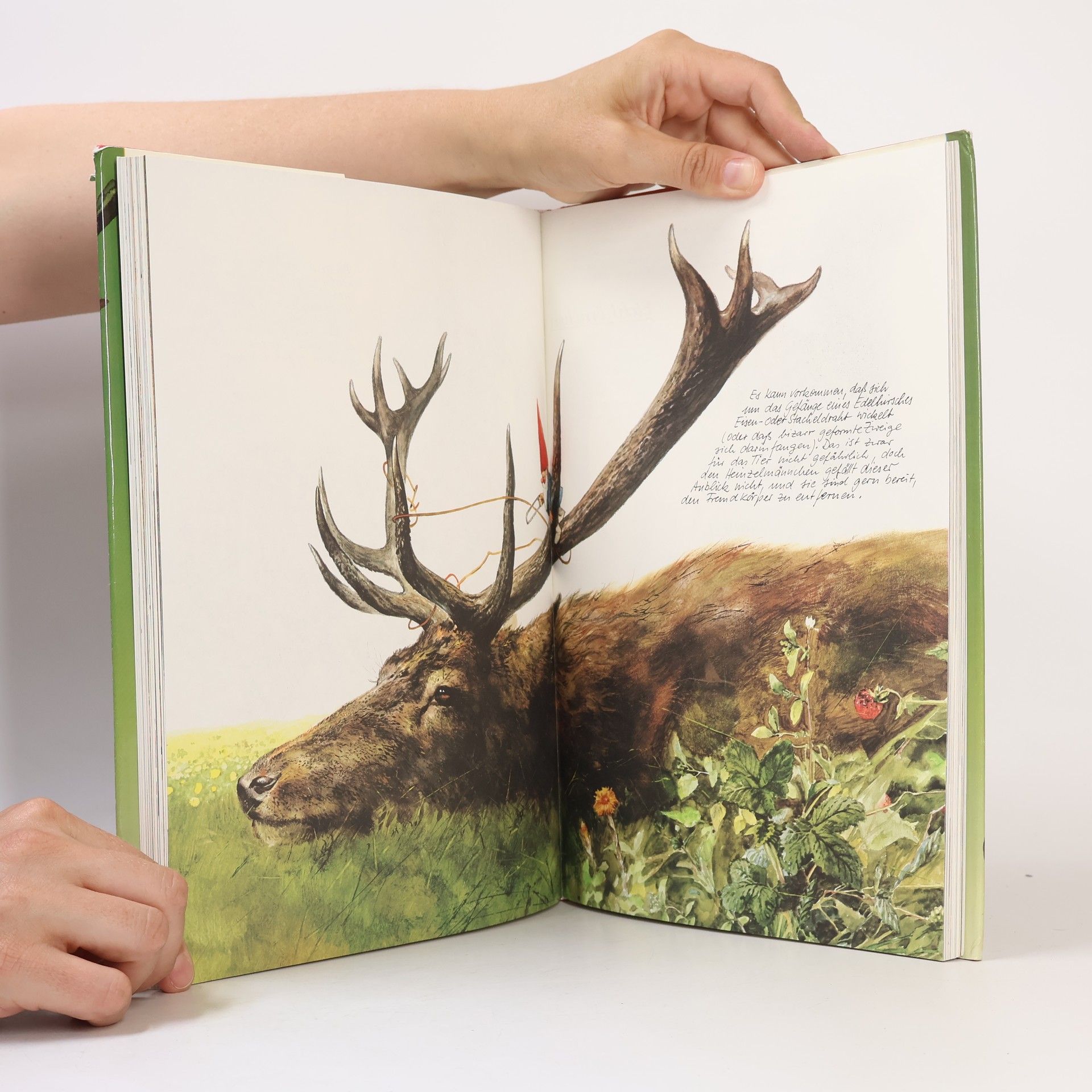 AA.VV. Das große Buch der Heinzel-männchen