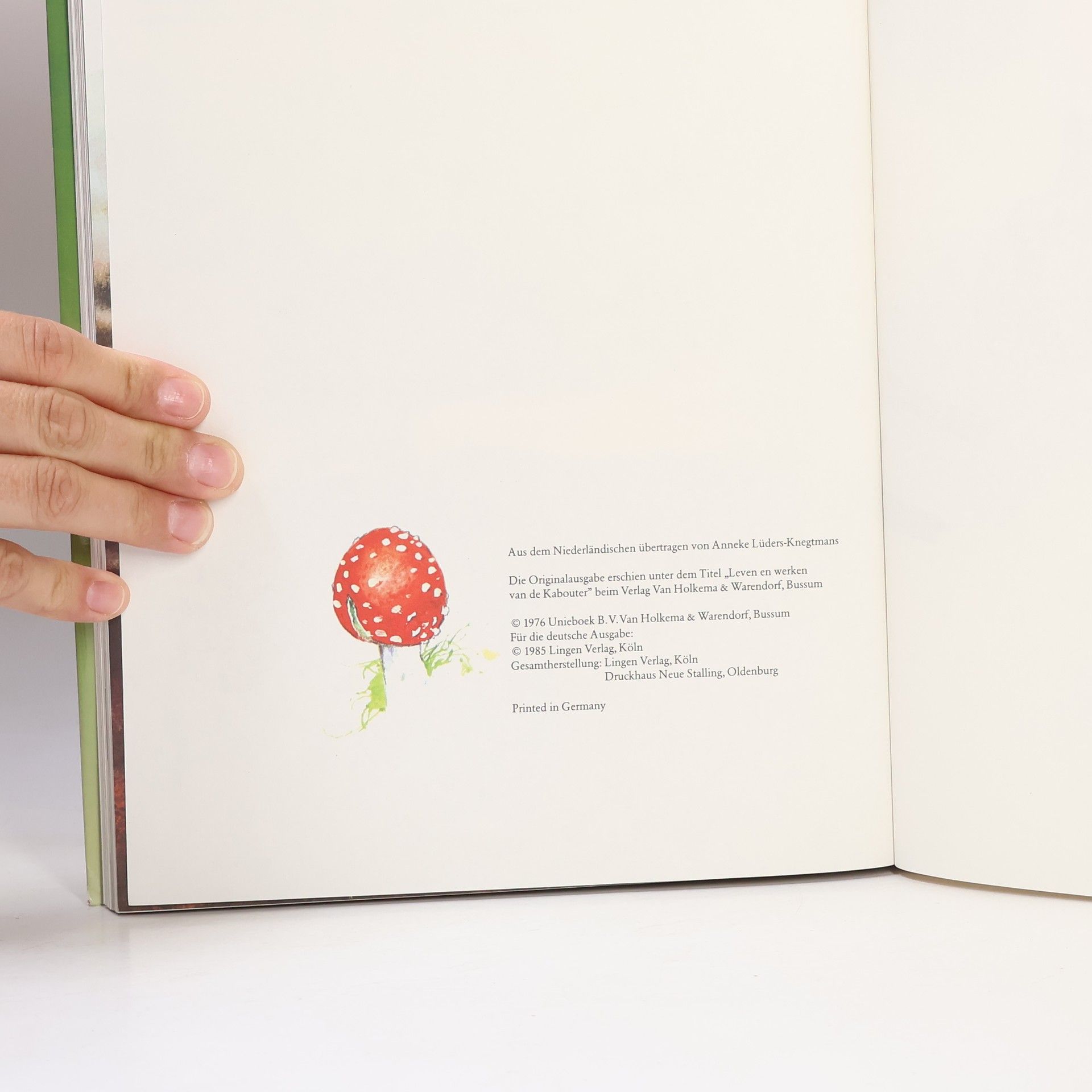 AA.VV. Das große Buch der Heinzel-männchen
