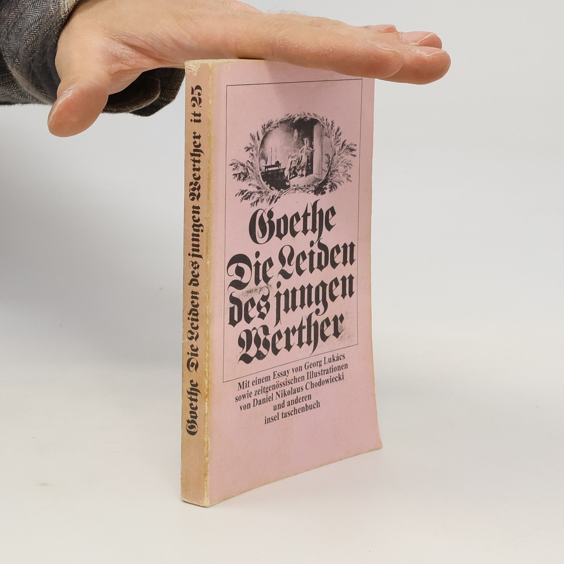 Johann Wolfgang von Goethe Die Leiden des jungen Werther