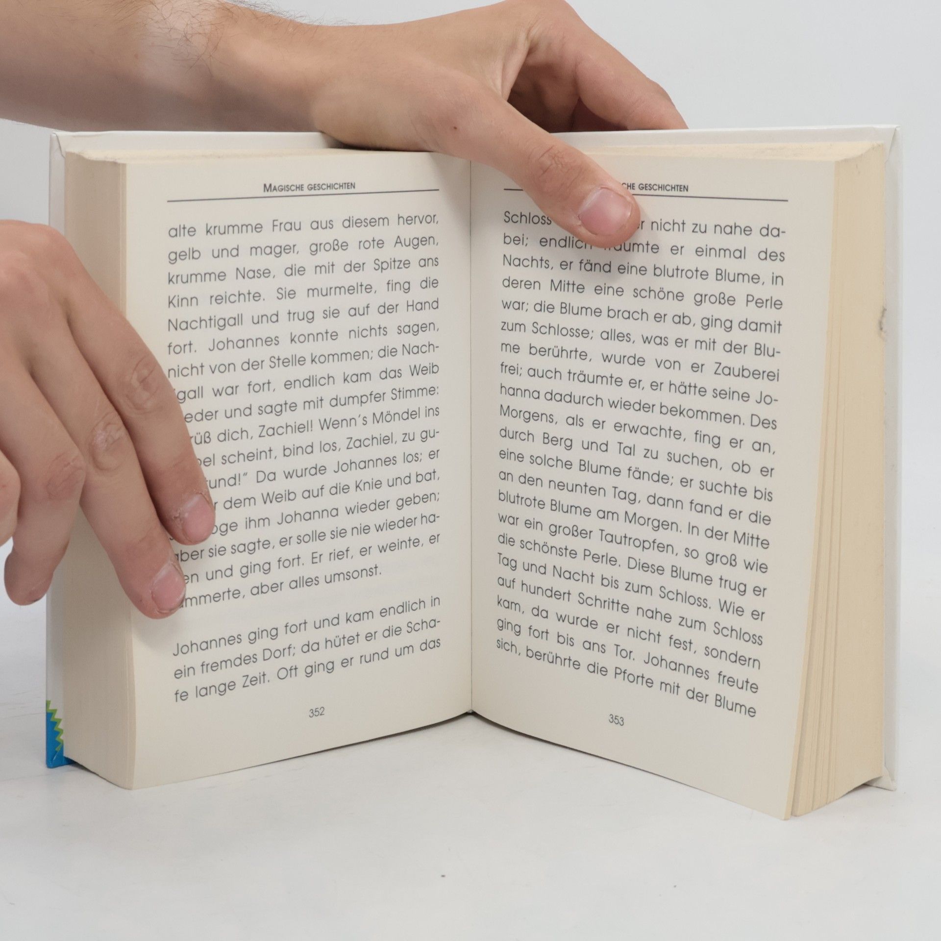 Auteurscollectief Gutenachtgeschichten zum Lesen und Vorlesen