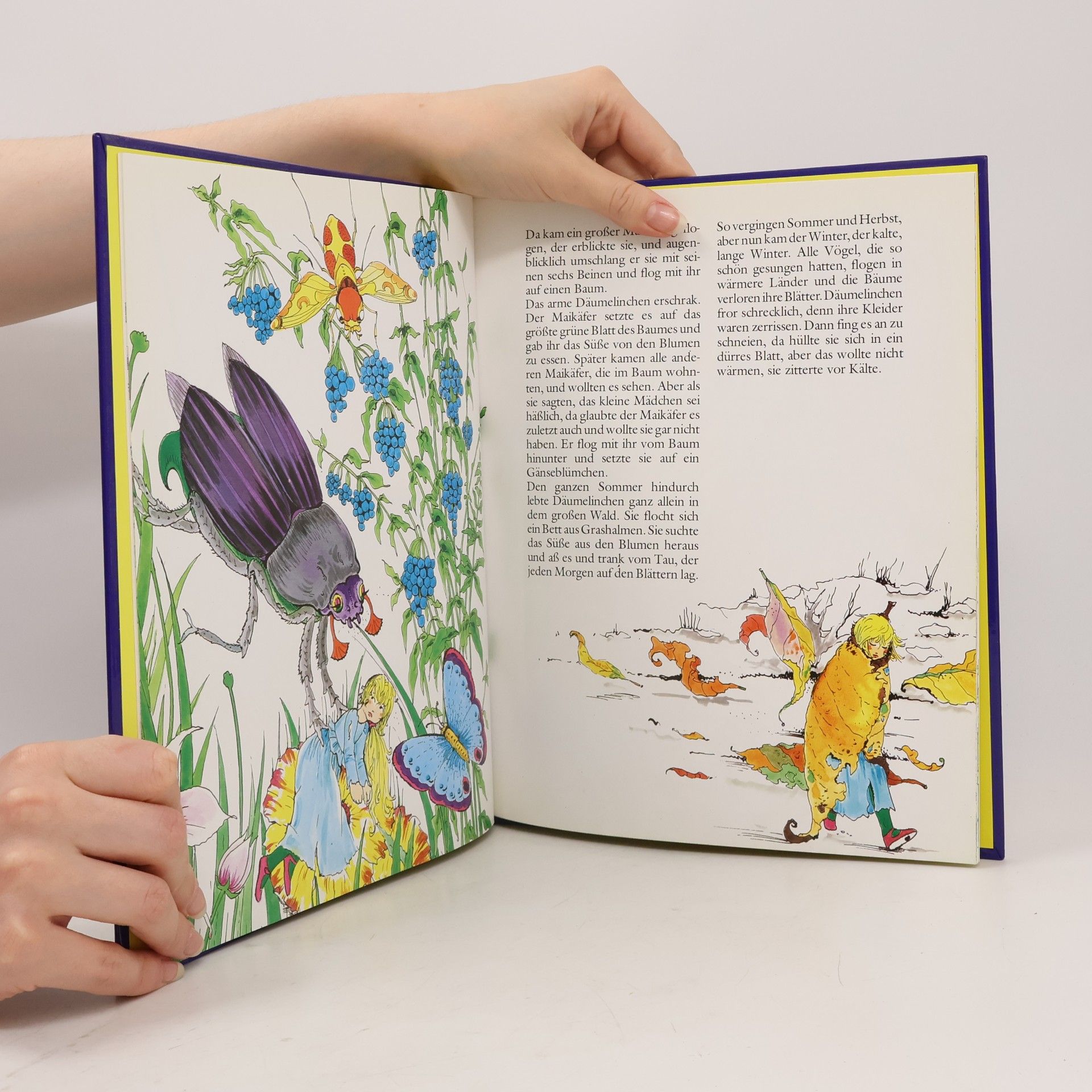 Hans Christian Andersen Däumelinchen. Märchenwaldgeschichten