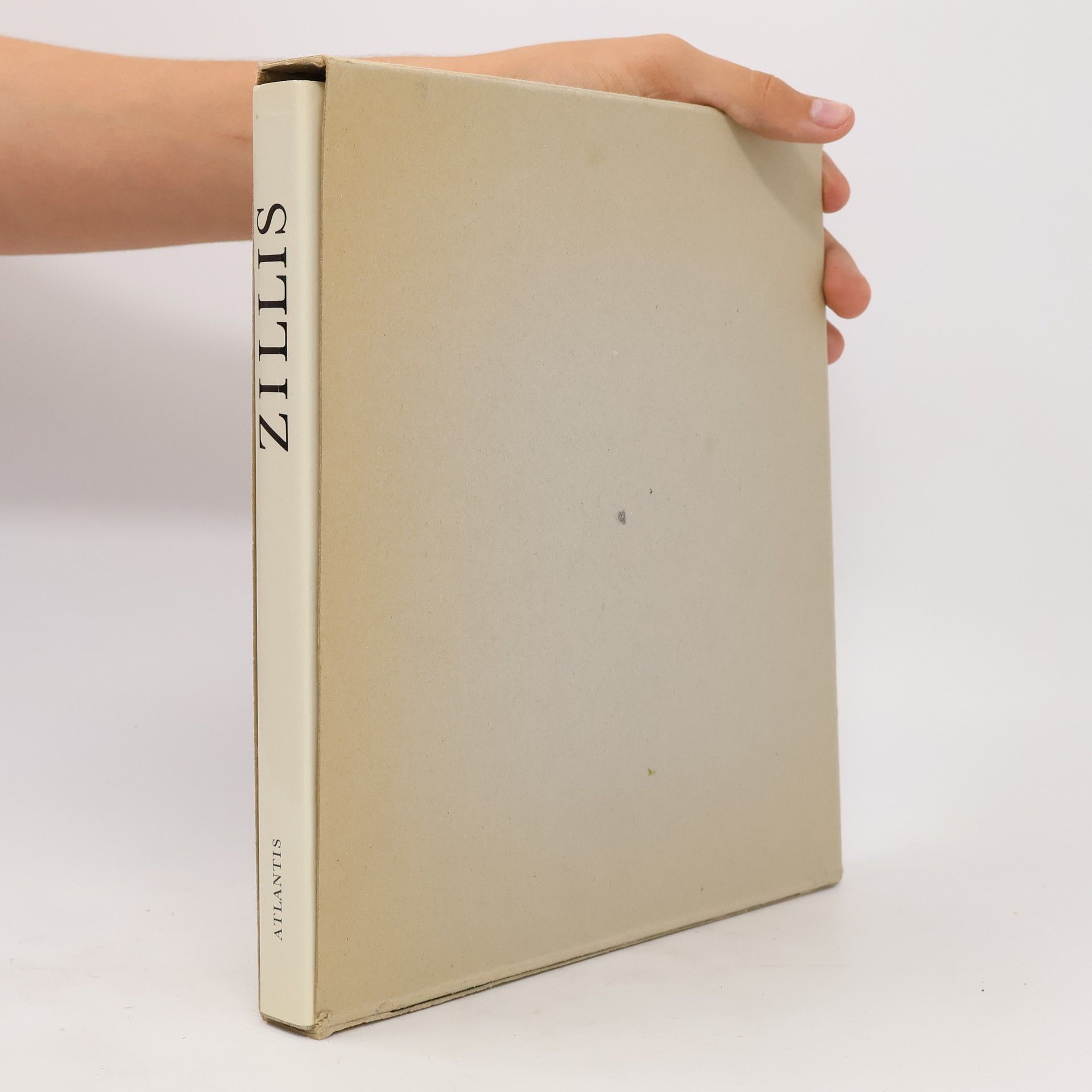 Autorenkollektiv Zillis: Die romanische Bilderdecke der Kirche St. Martin