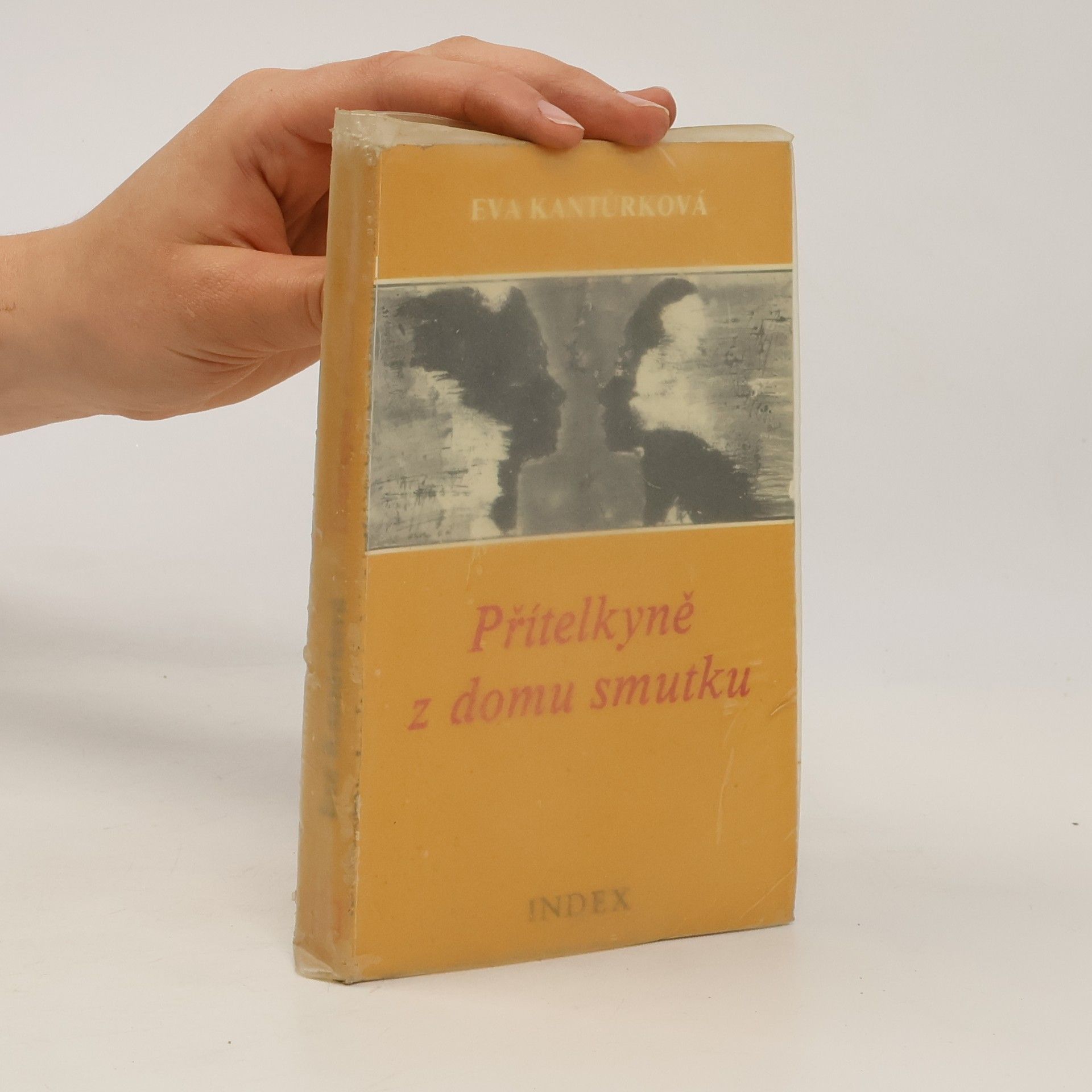 Eva Kantůrková Přítelkyně z domu smutku