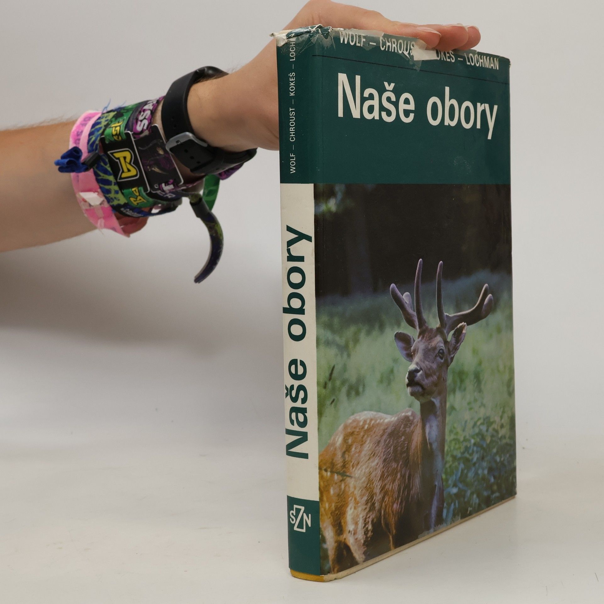 Robert Wolf Naše obory