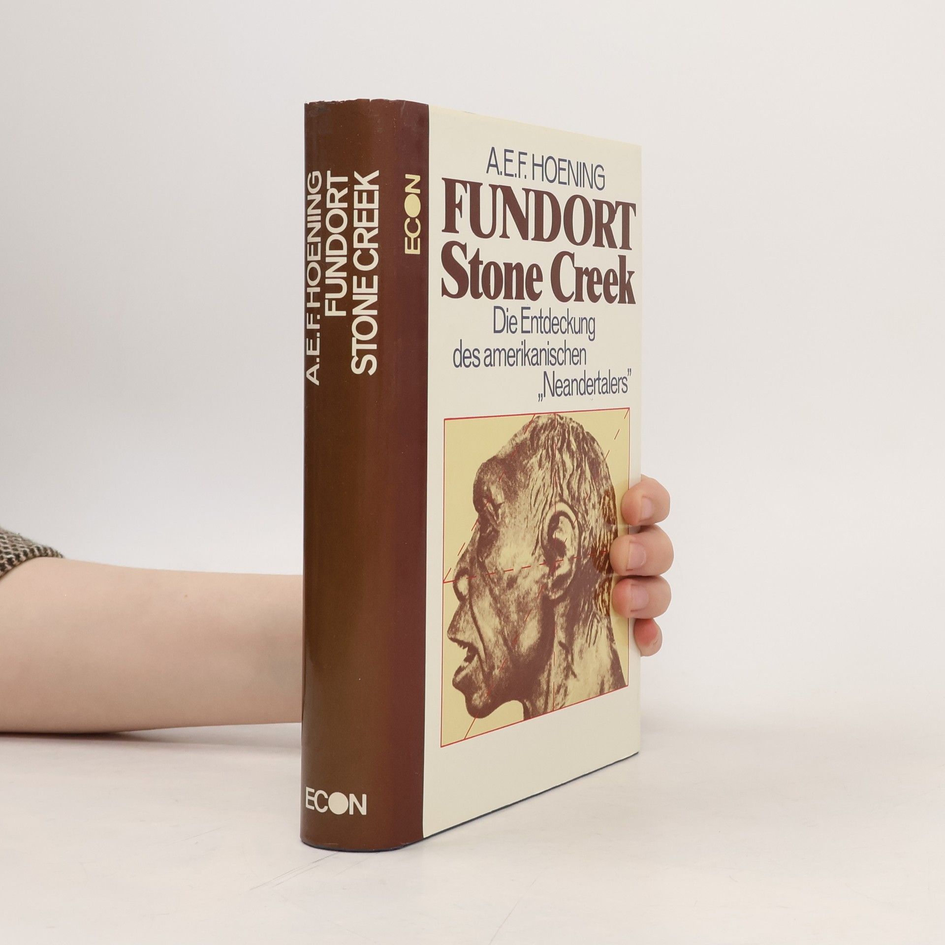 A. E. F. Hoening Fundort Stone Creek